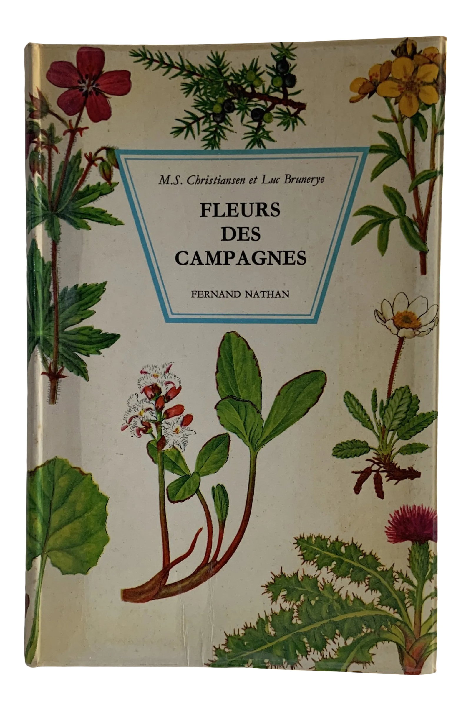 1970 Fleurs Des Campagnes Country Flowers Book: Charming French guide to country flowers. Fleurs des campagnes by M.S. Christiansen and Luc Brunerye. Published by Fernand Nathan. 1970. Softcover with pictorial wraps. 234 pp. Fully illustrated