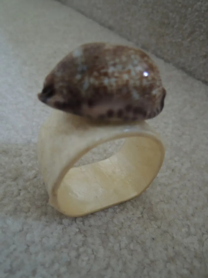 1960s Mother of Pearl and Shell Napkin Rings - Set of 6 - 7