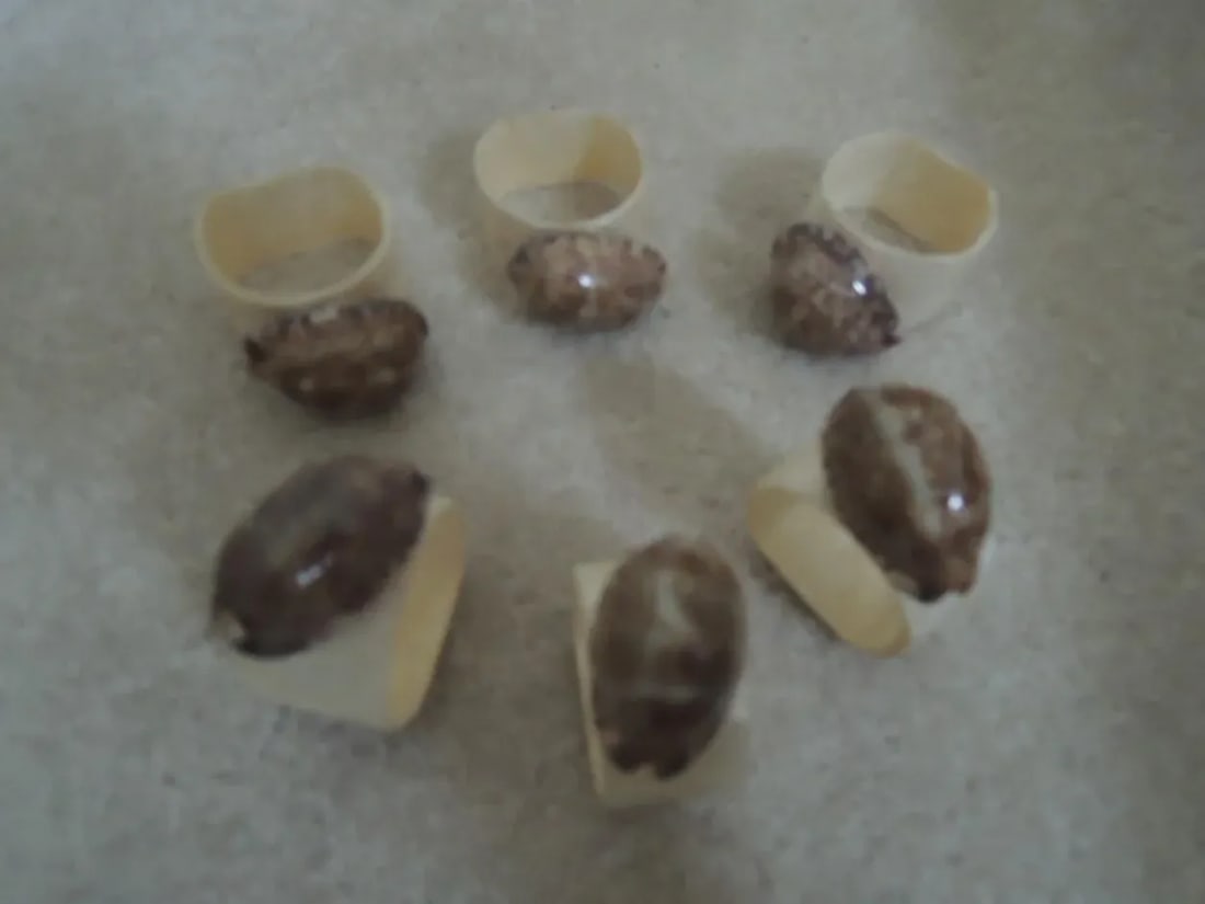 1960s Mother of Pearl and Shell Napkin Rings - Set of 6 - 8