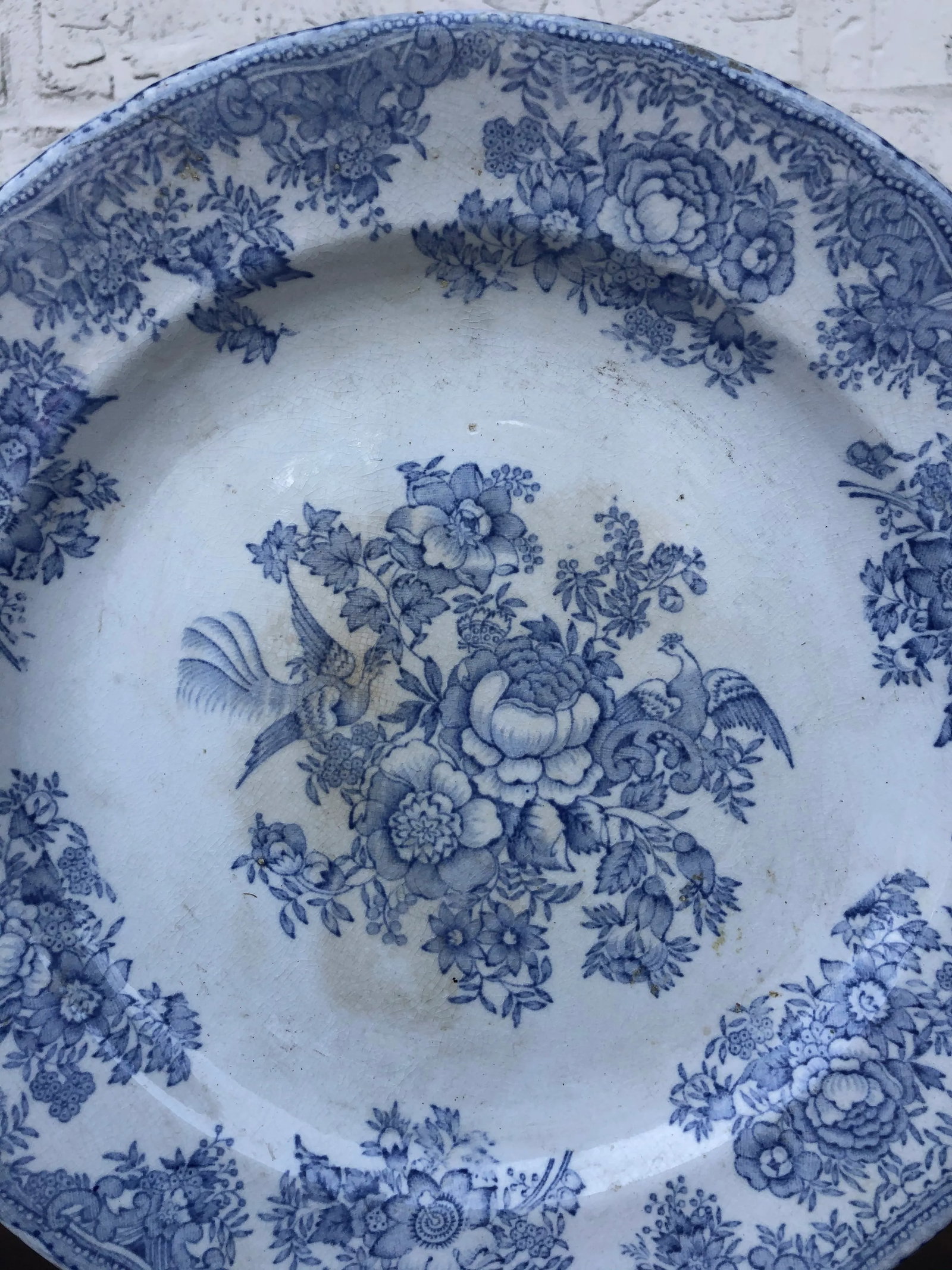 Mid 1800's English Asiatic Pheasant Dinner Plate - 4