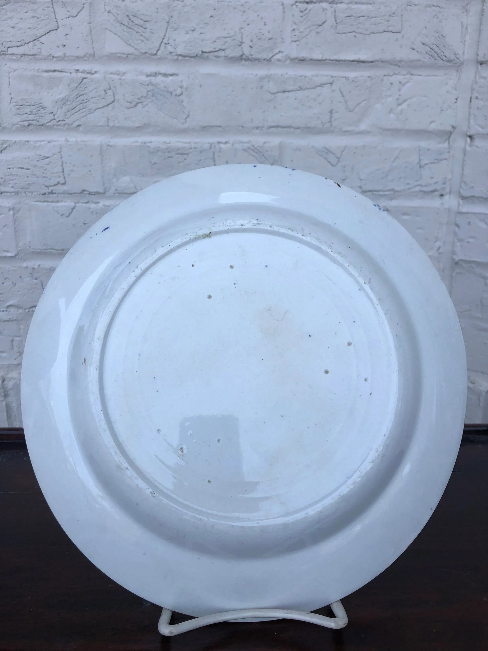Mid 1800's English Asiatic Pheasant Dinner Plate - 5