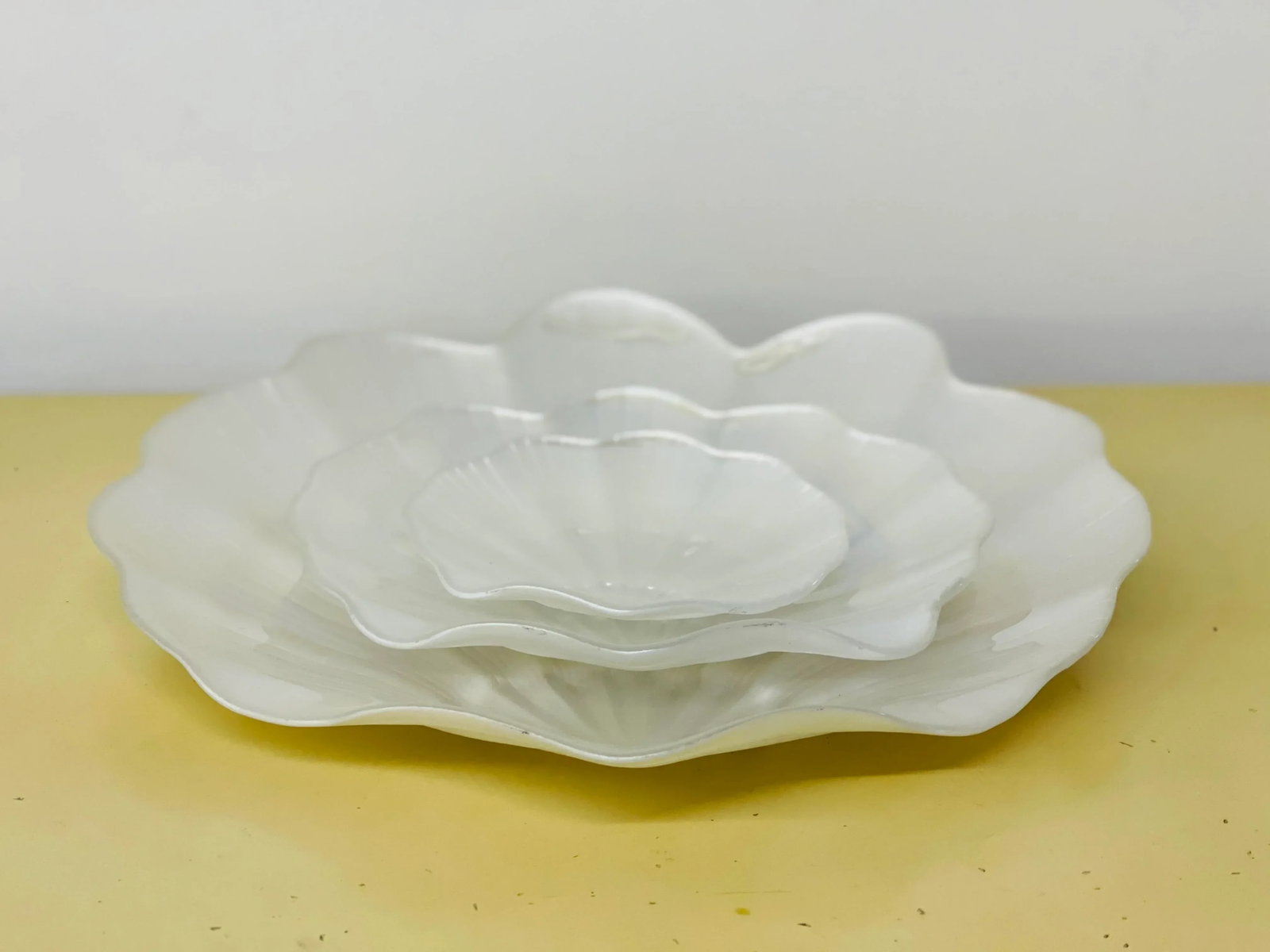 Pearlescent Seashell Plate Set - 10