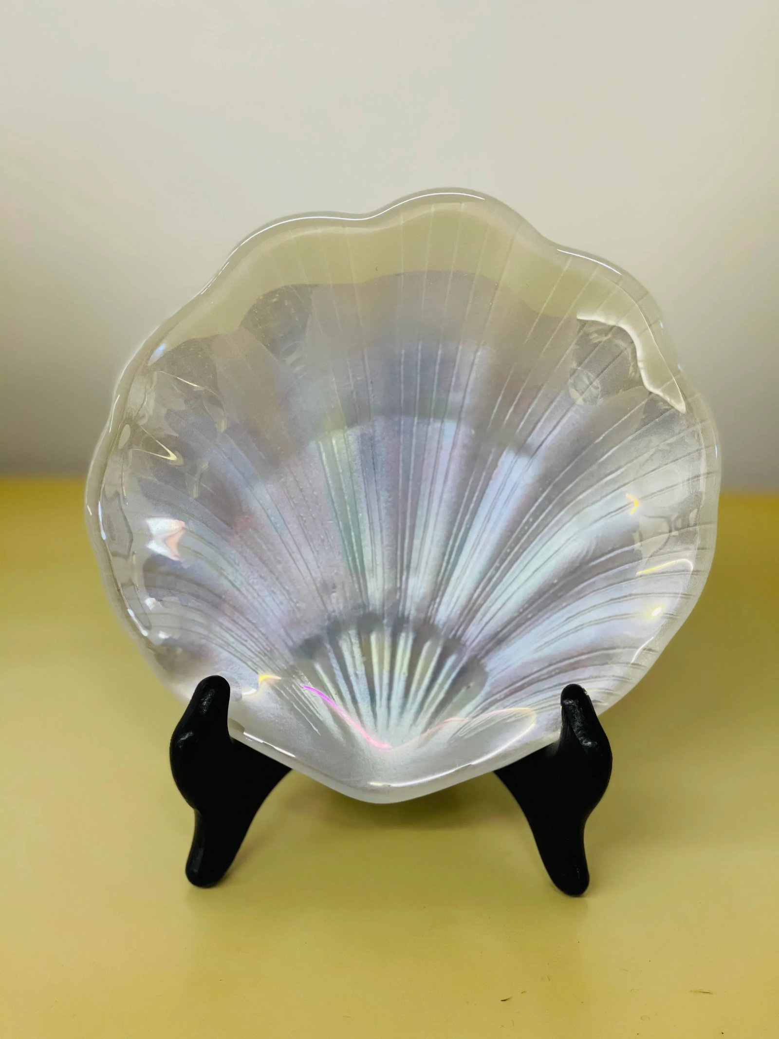 Pearlescent Seashell Plate Set - 5