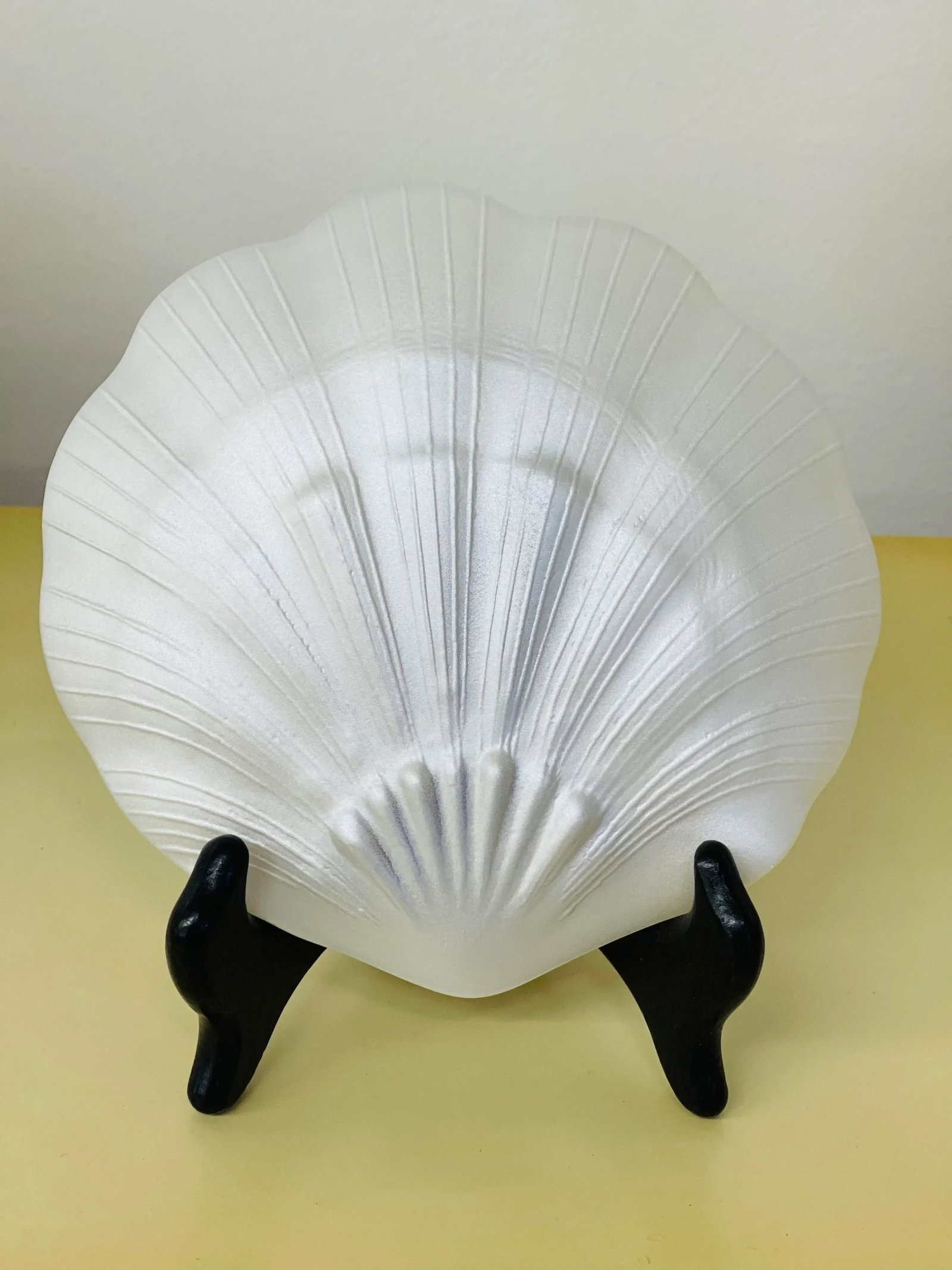 Pearlescent Seashell Plate Set - 6