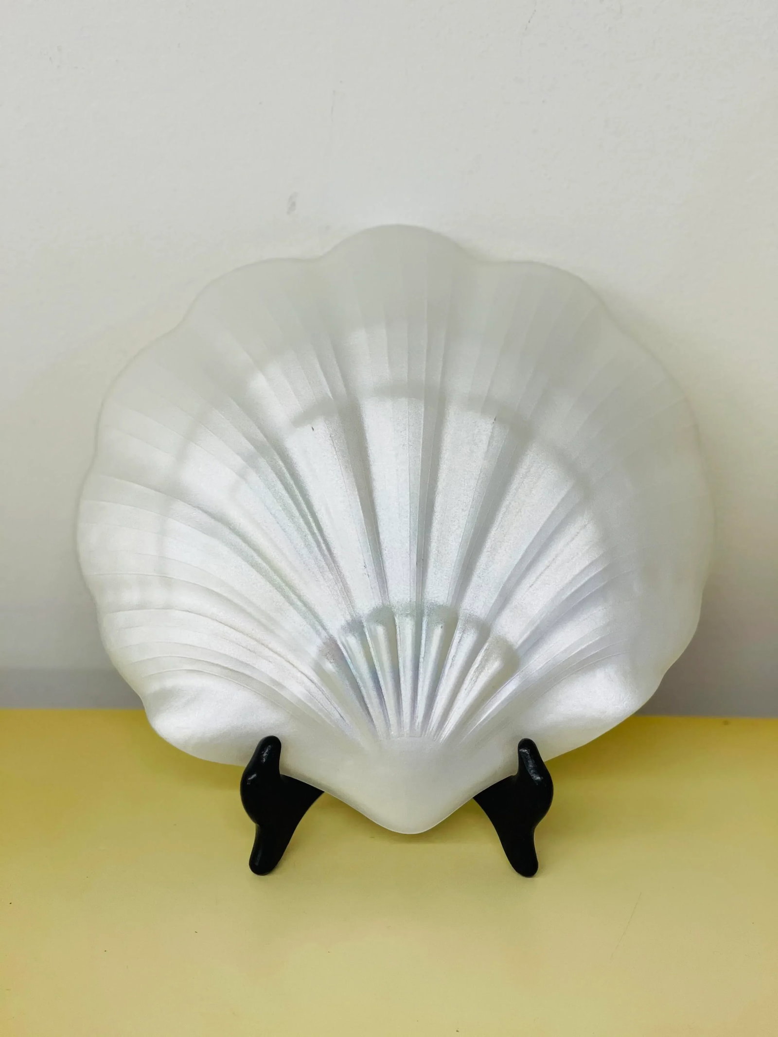 Pearlescent Seashell Plate Set - 8