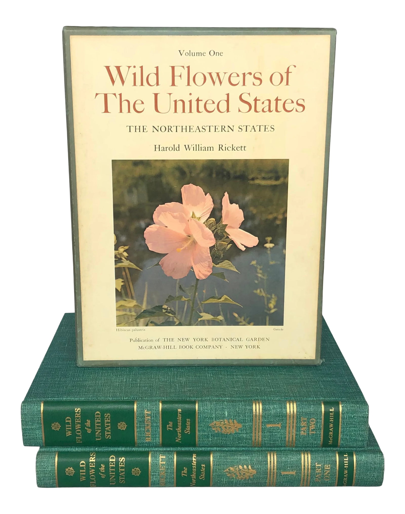 1960s Wild Flower Reference Coffee Table Books - Set of 3: This large-format two volume wild flower book set will make an impressive decor accent on a coffee table as well as an informative reference for the nature lover. The vintage two-volume wildflower