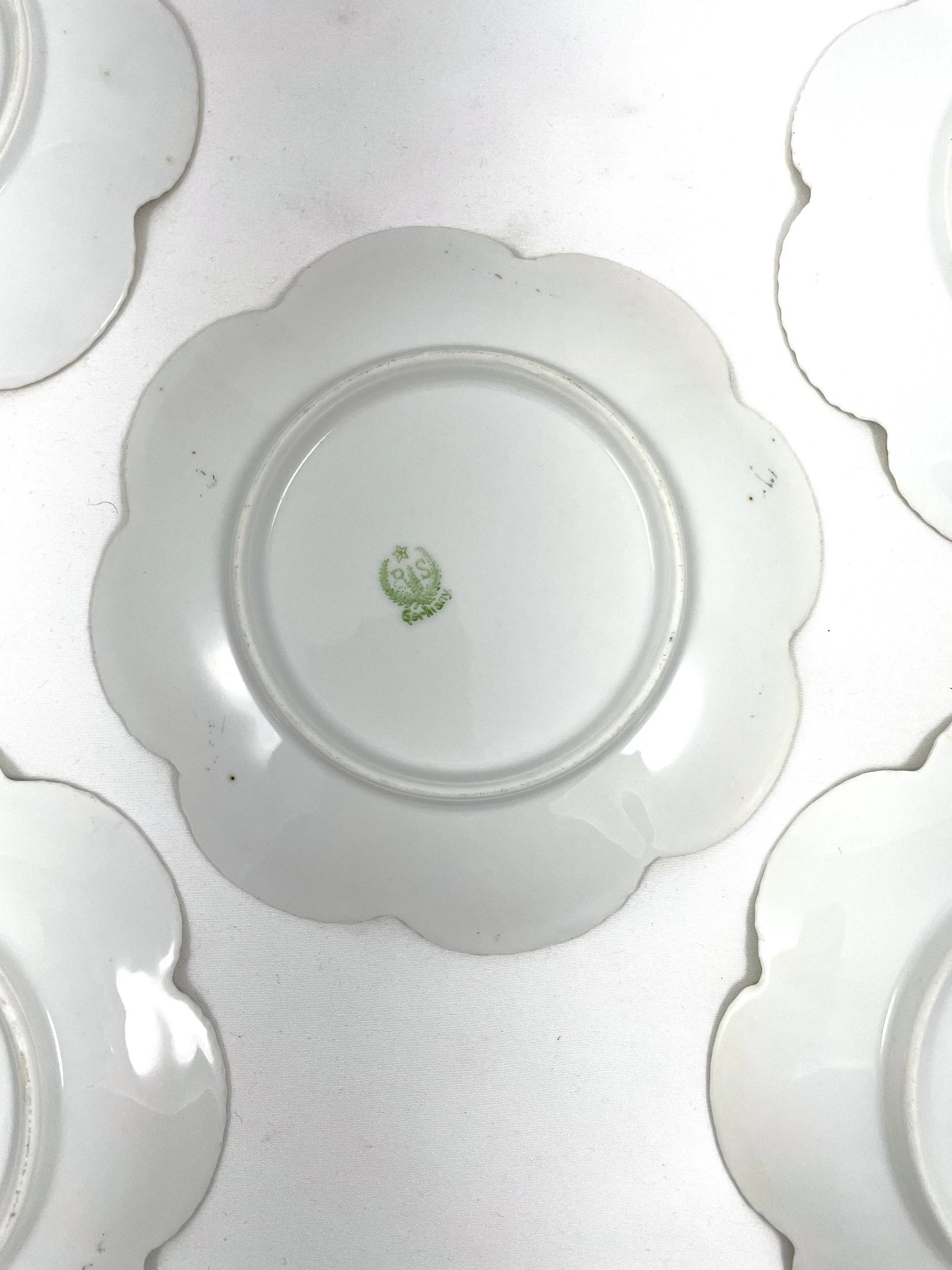 Antique Reinhold Schlegelmilch German Porcelain Flower Plates - Set of 5 - 6