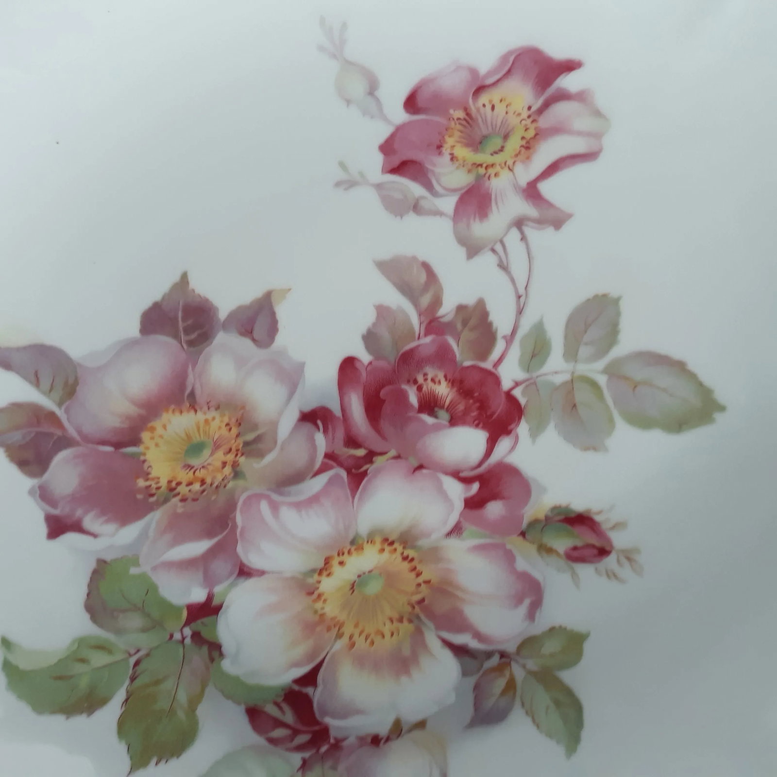 Vintage 1955 Schumann E & R Wild Rose Chop Plate Round Platter - 5