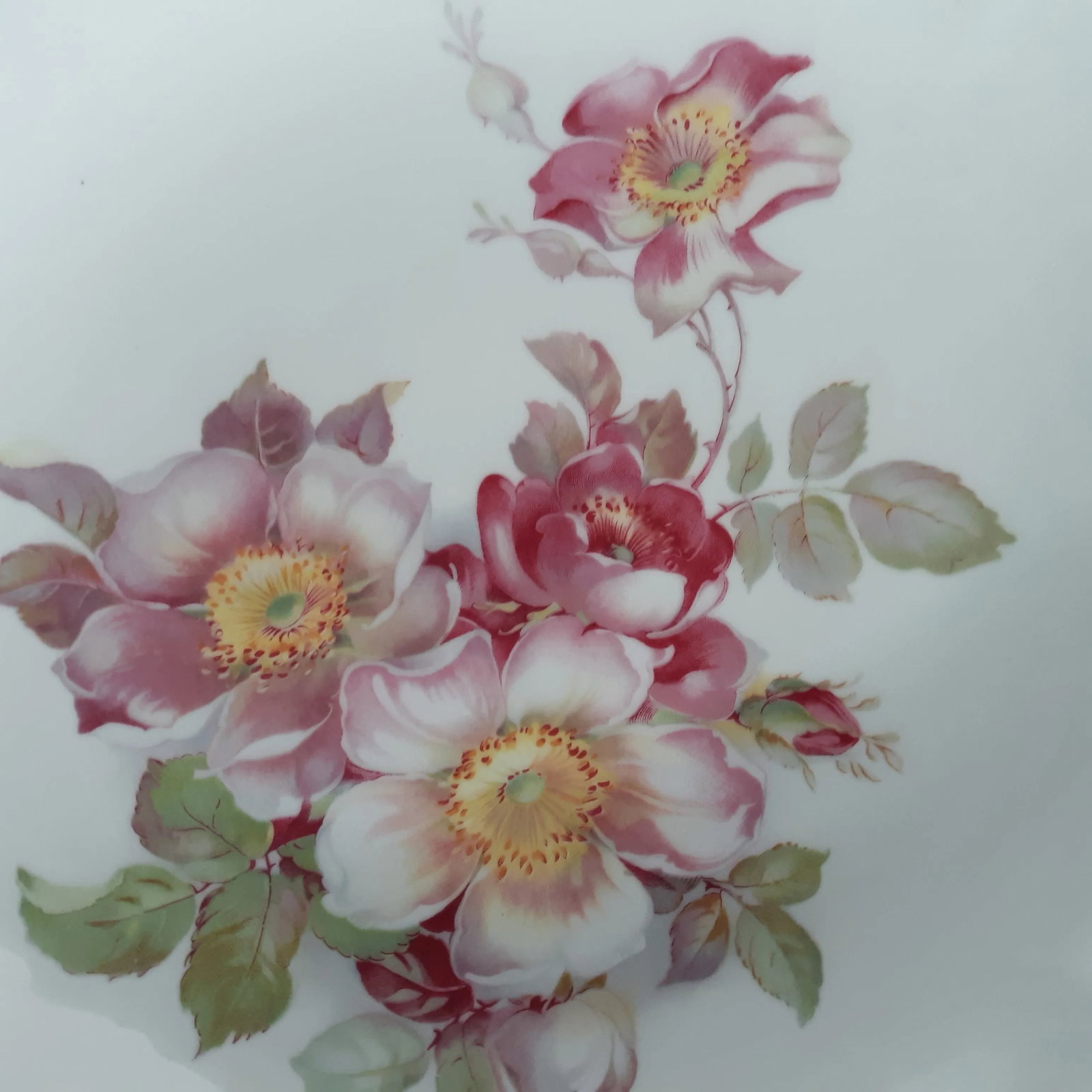 Vintage 1955 Schumann E & R Wild Rose Chop Plate Round Platter - 6