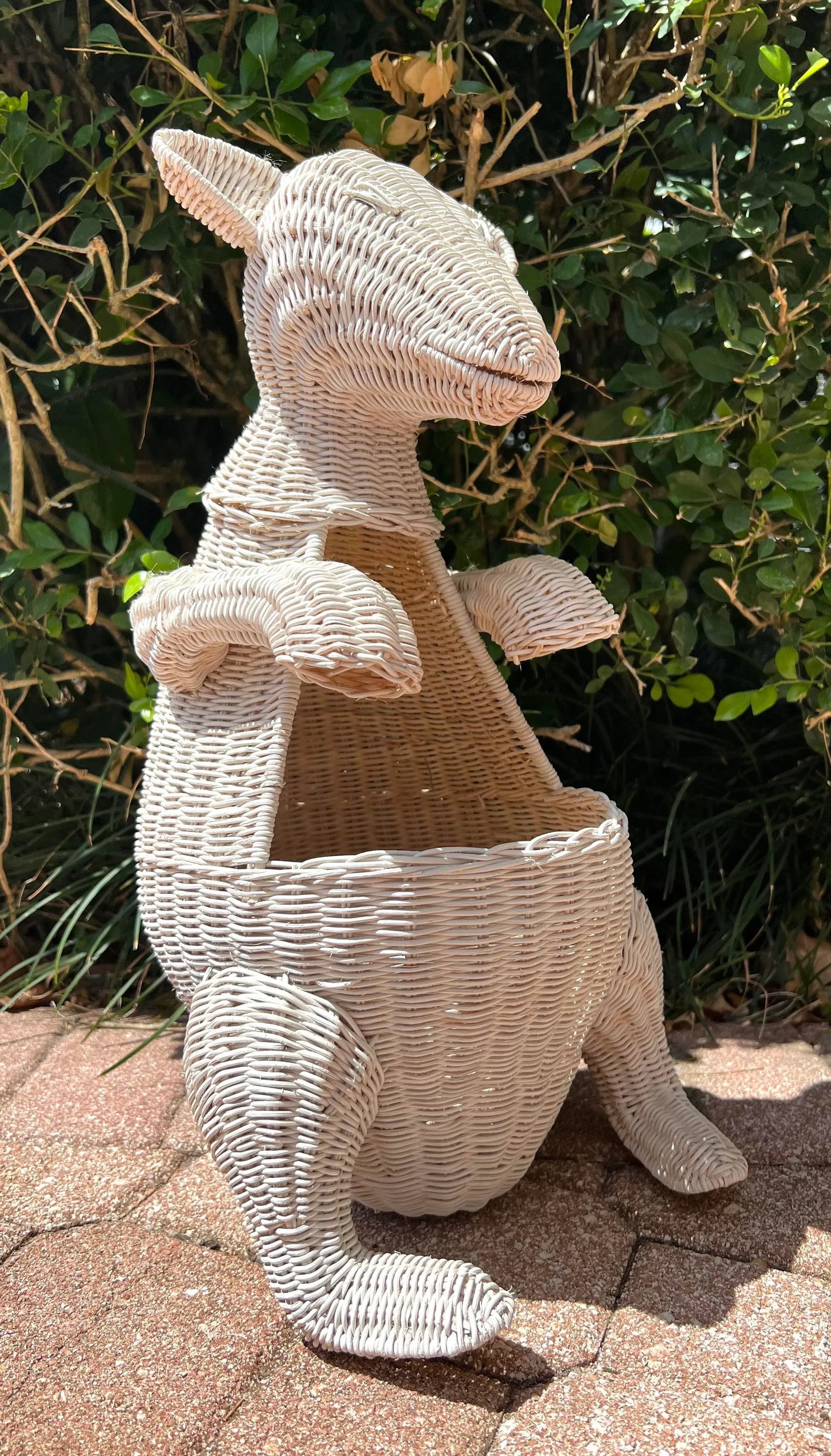 Vintage Boho Wicker Kangaroo Basket Planter - 4