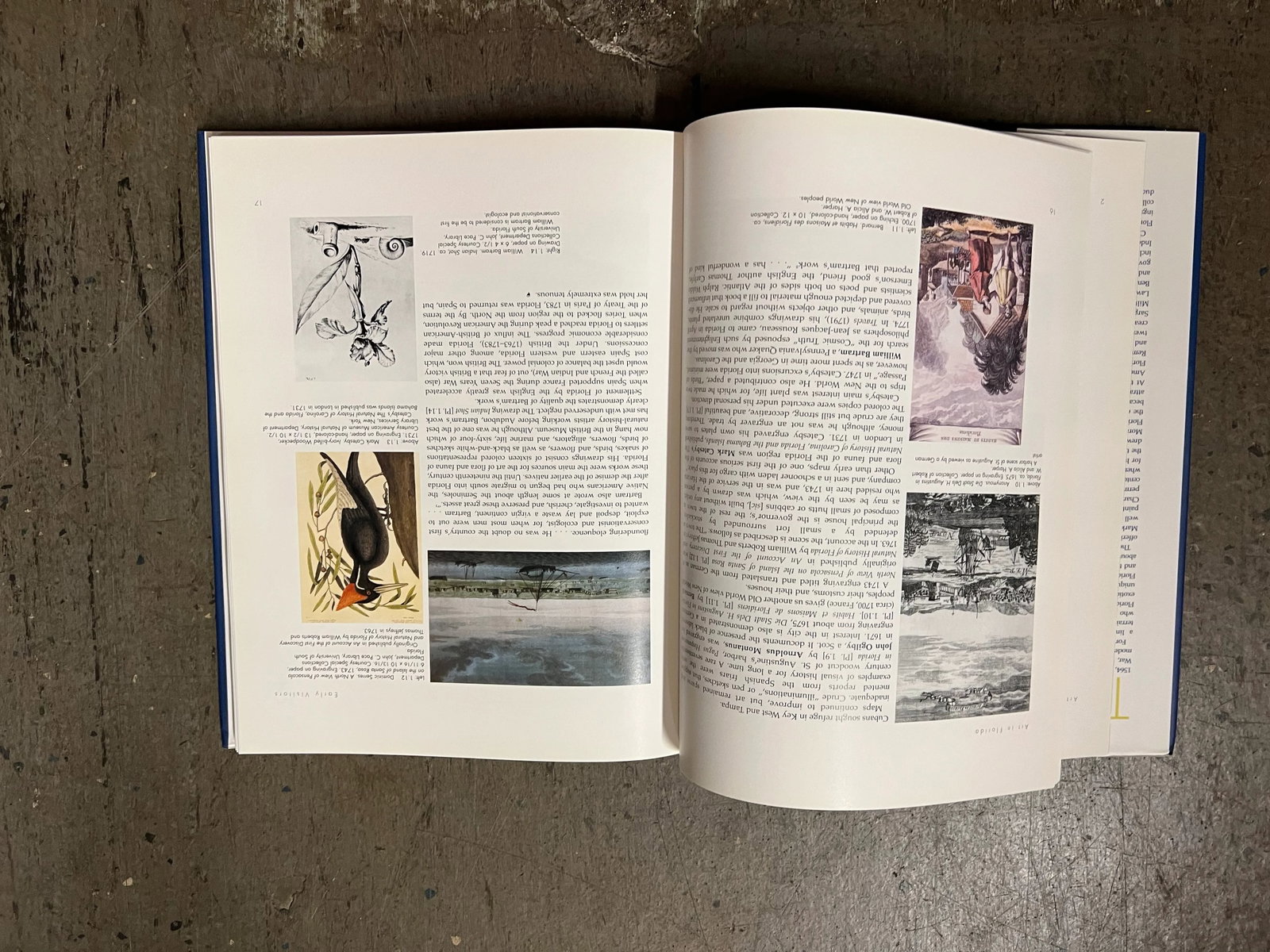1990s Art in Florida Hardcover Book - 7