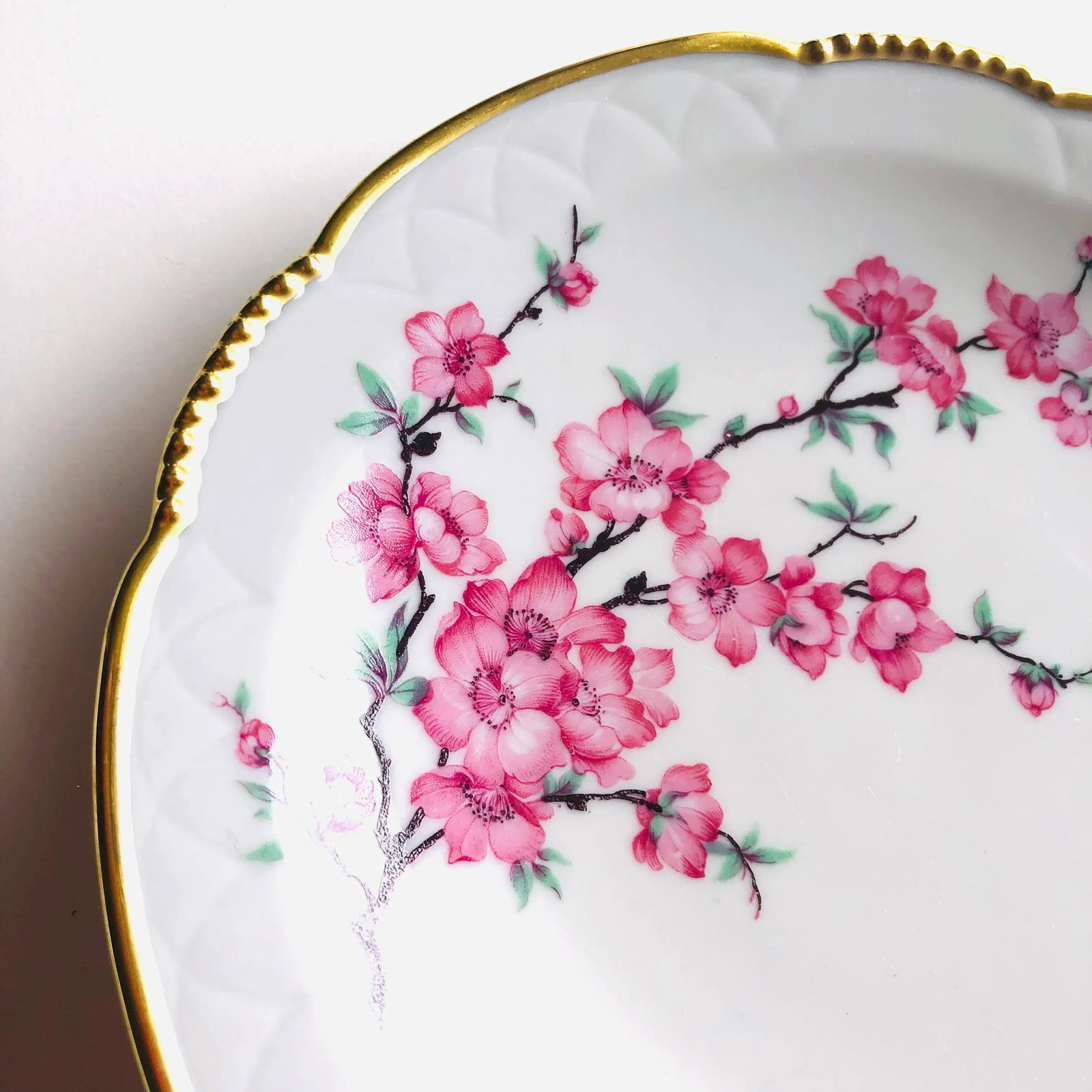 Vintage Mitterteich Bavaria China Dogwood Pattern Plate - 2