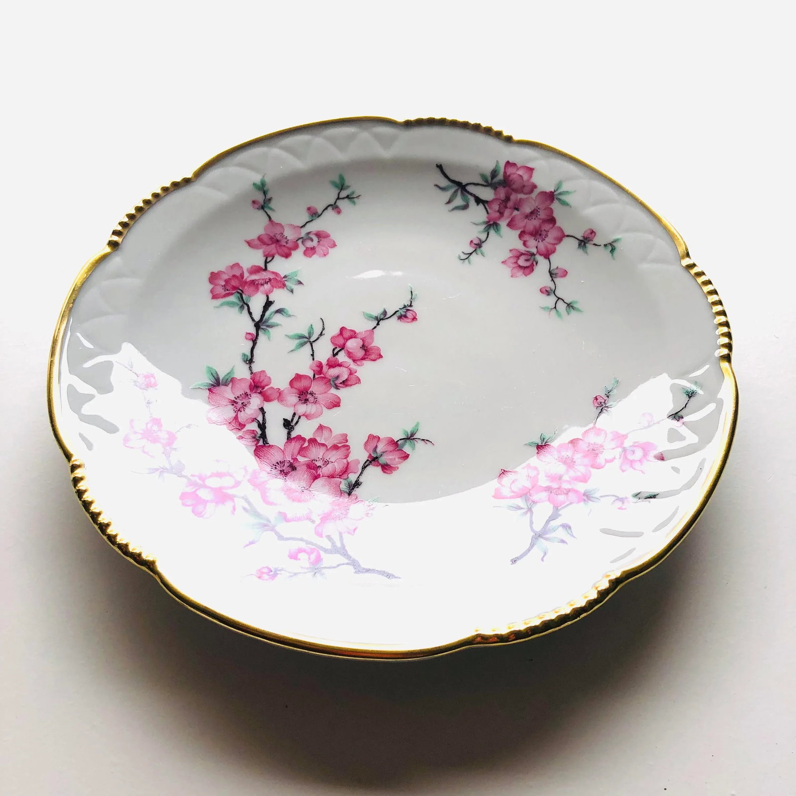 Vintage Mitterteich Bavaria China Dogwood Pattern Plate - 6