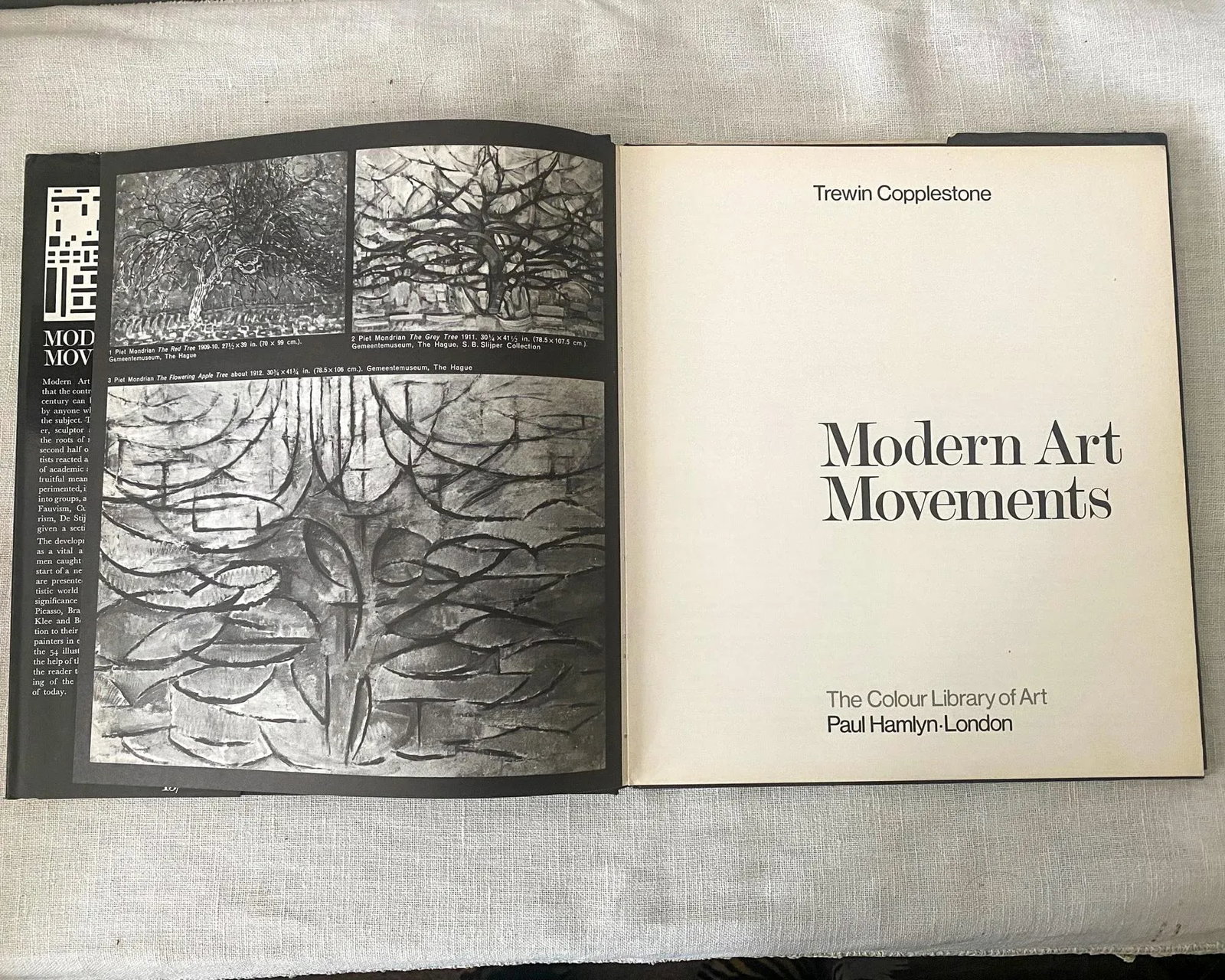 1967 "Modern Art Movements," Vintage Book by Trewin Copplestone - 4