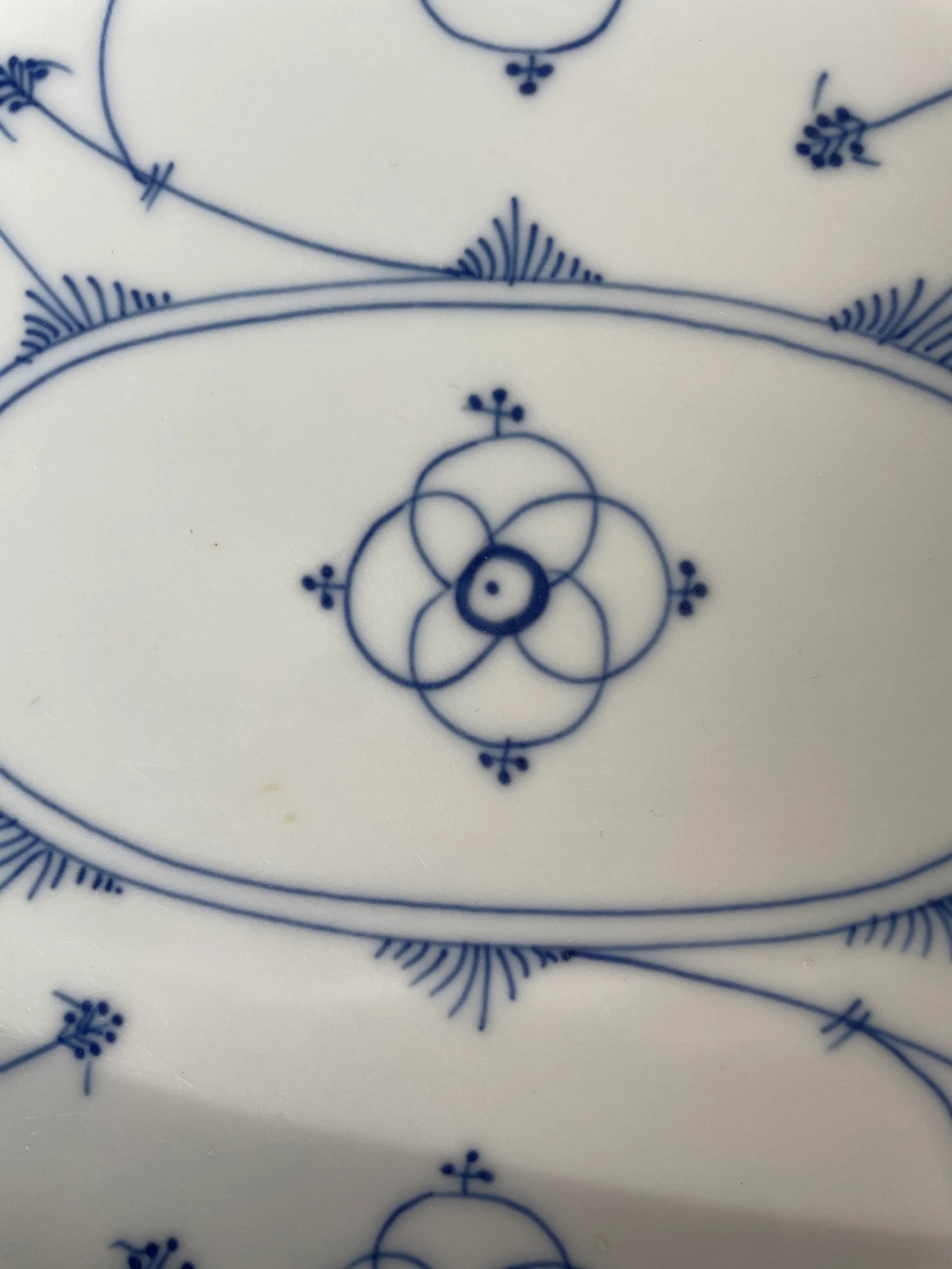 Turn of the Century German French Blue & White Platter With Hand-Painted Strawflower Design - 6