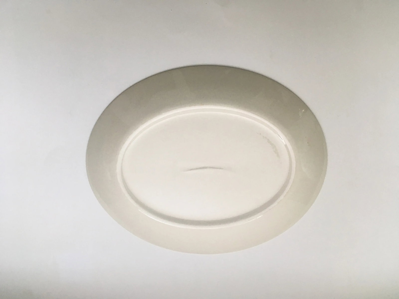 Mid 20th Century Homer Laughlin "Malibu" Floral Medallion Ceramic Platter - 4