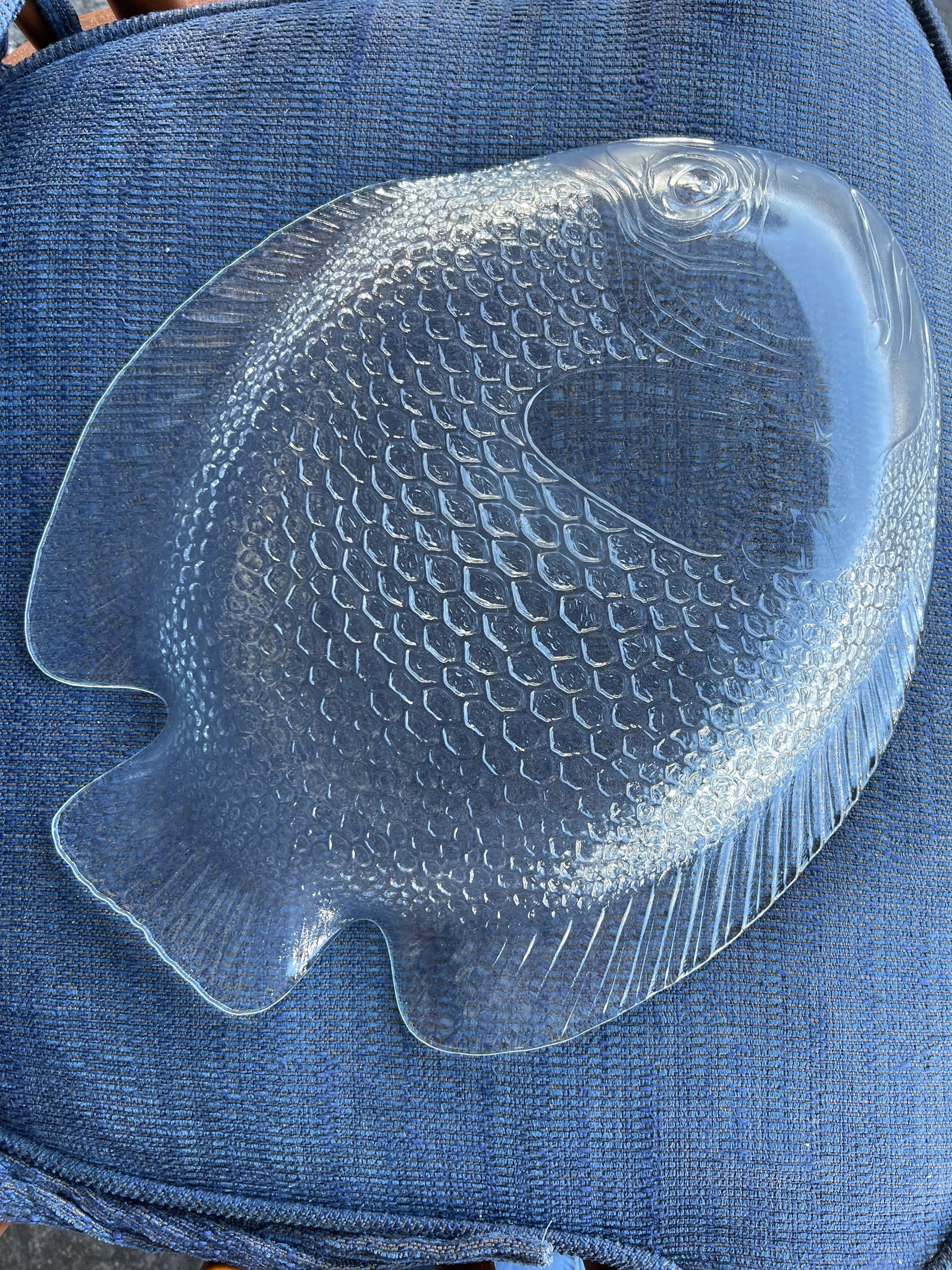 Mid Century Glass Embossed Fish Platter - 4