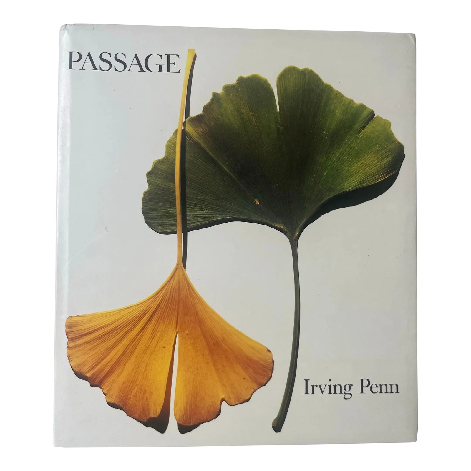 Passage: A Work Record by Irving Penn, 1991, 1st Edition: Alfred A. Knopf/ Callaway 1991 12 5/8" x 11" Irving Penn (June 16, 1917 October 7, 2009) was an American photographer known for his fashion photography, portraits, and still lifes. Penn's career