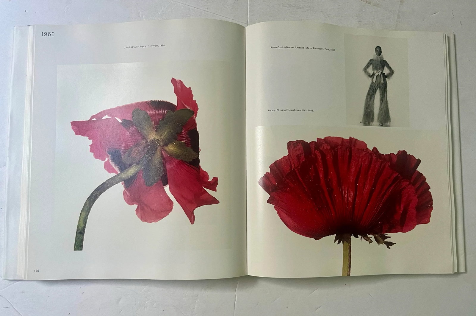 Passage: A Work Record by Irving Penn, 1991, 1st Edition - 3