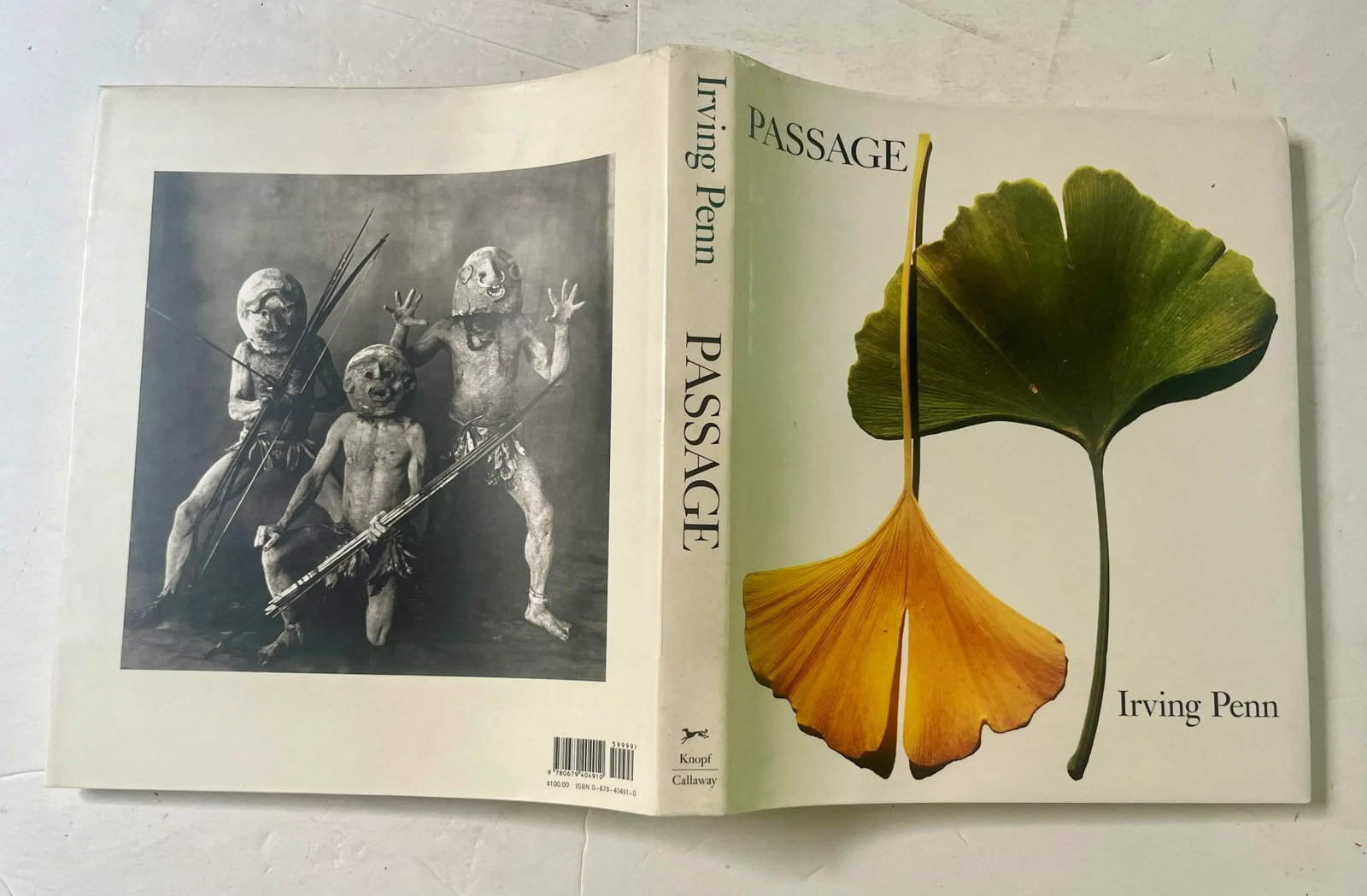 Passage: A Work Record by Irving Penn, 1991, 1st Edition - 7