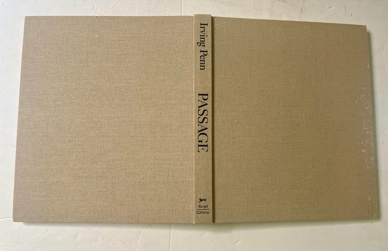 Passage: A Work Record by Irving Penn, 1991, 1st Edition - 8