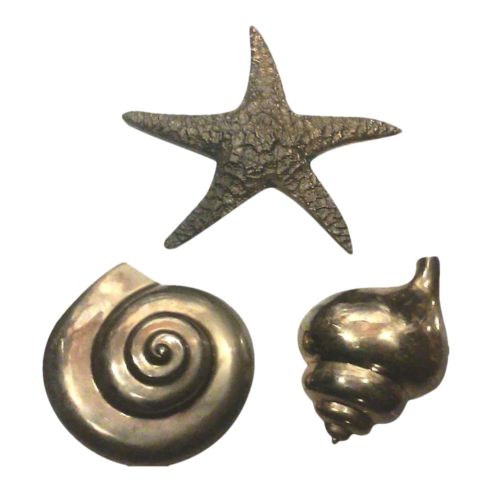 Vintage Solid Brass Shell Wall Hangings-Set of 3: A set of three vintage Large, brass shell wall hangings including a textured starfish, conch shell, and snail shell. Accent your Coastal or Nautical inspired space with these large scale shells.