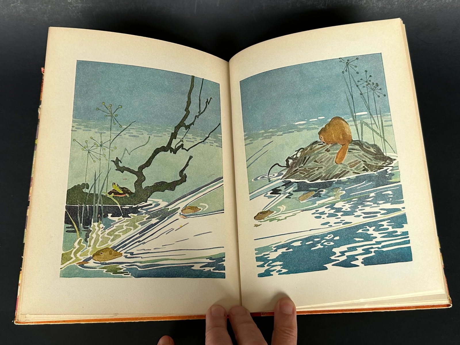 Vintage Illustrated Children's Book - 7