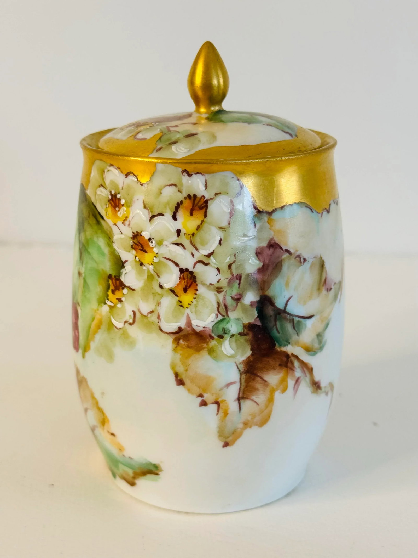 Vintage Limoges France Handpainted Condiment Jar - 2
