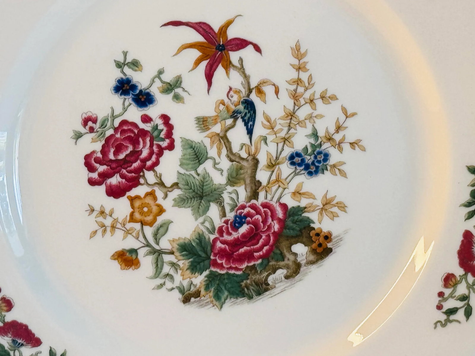 Vintage 1960s Syracuse China Floral & Parrot Restaurant Ware Plates, Set of 4 - 5