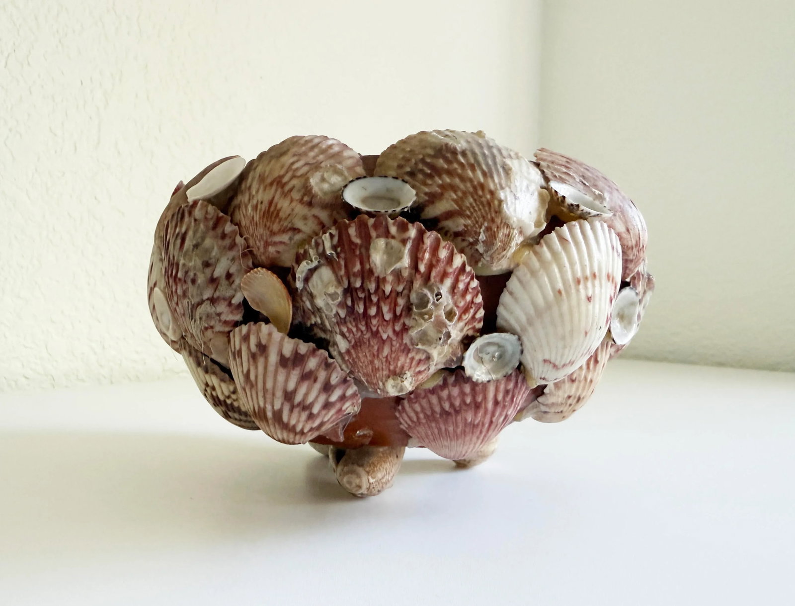 Vintage Seashell Encrusted Terra Cotta Plant Pot - 5