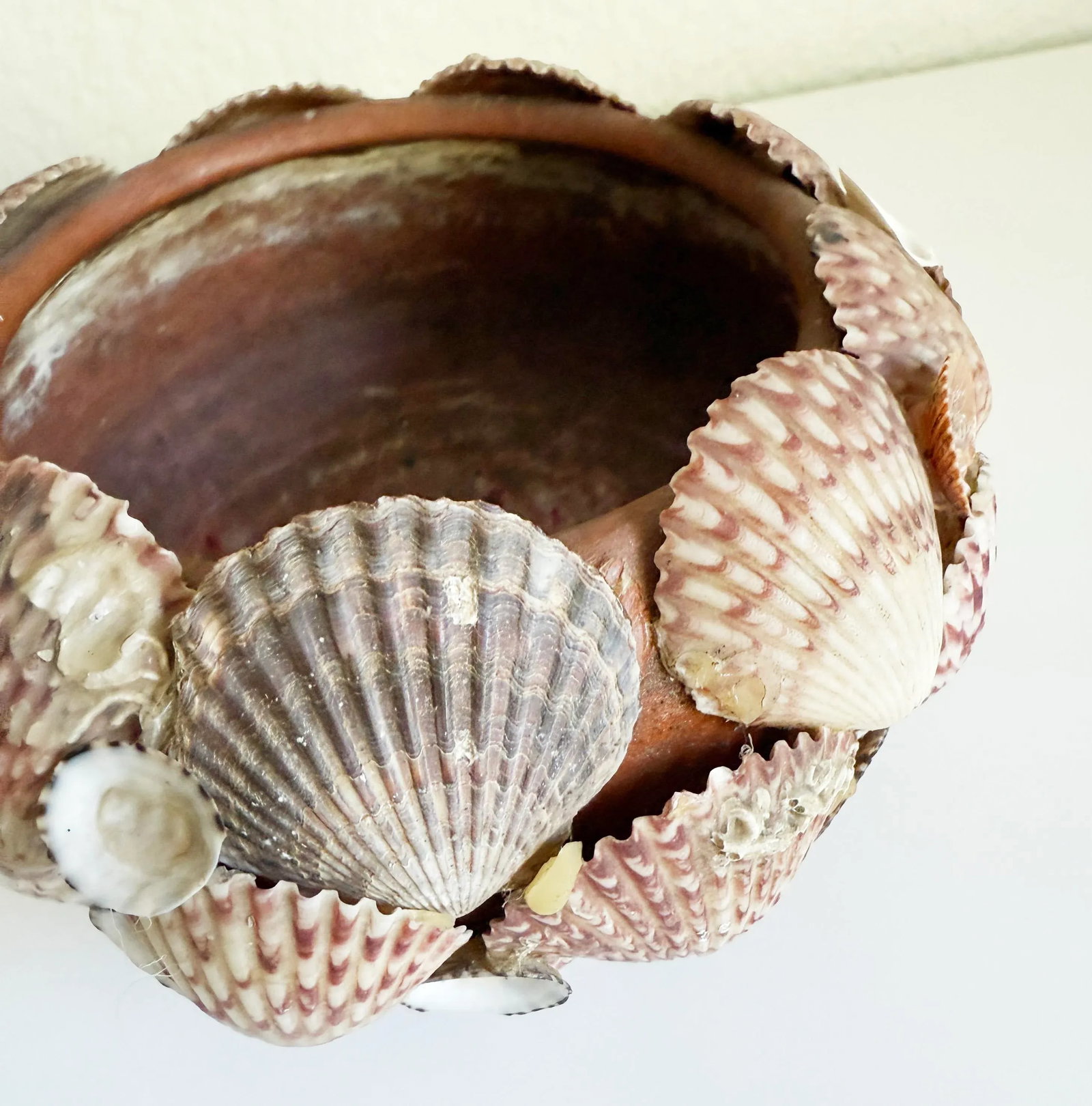 Vintage Seashell Encrusted Terra Cotta Plant Pot - 6