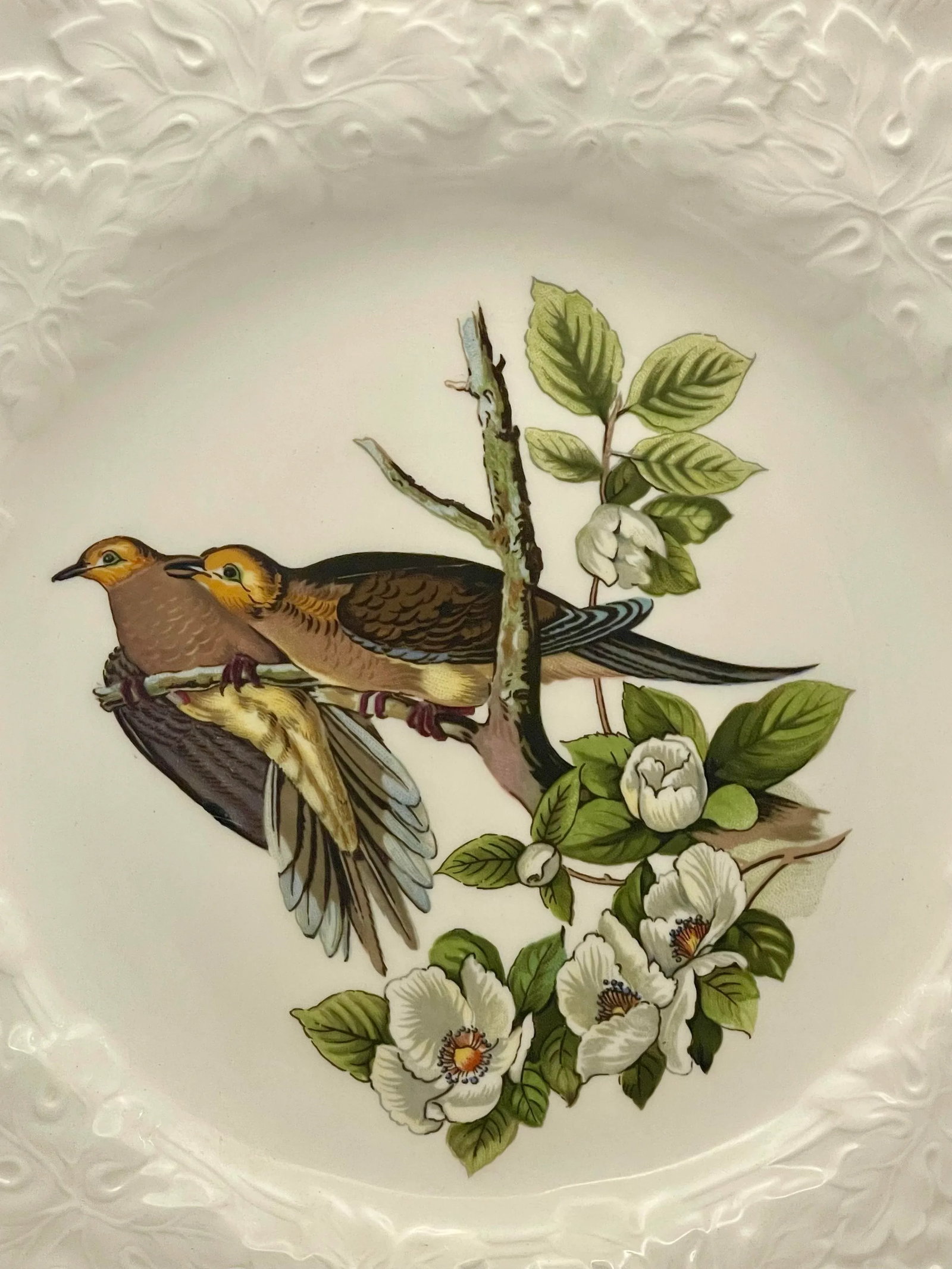 Alfred Meakin "Birds of America" Carolina Turtle Dove Decorative Plate - 3