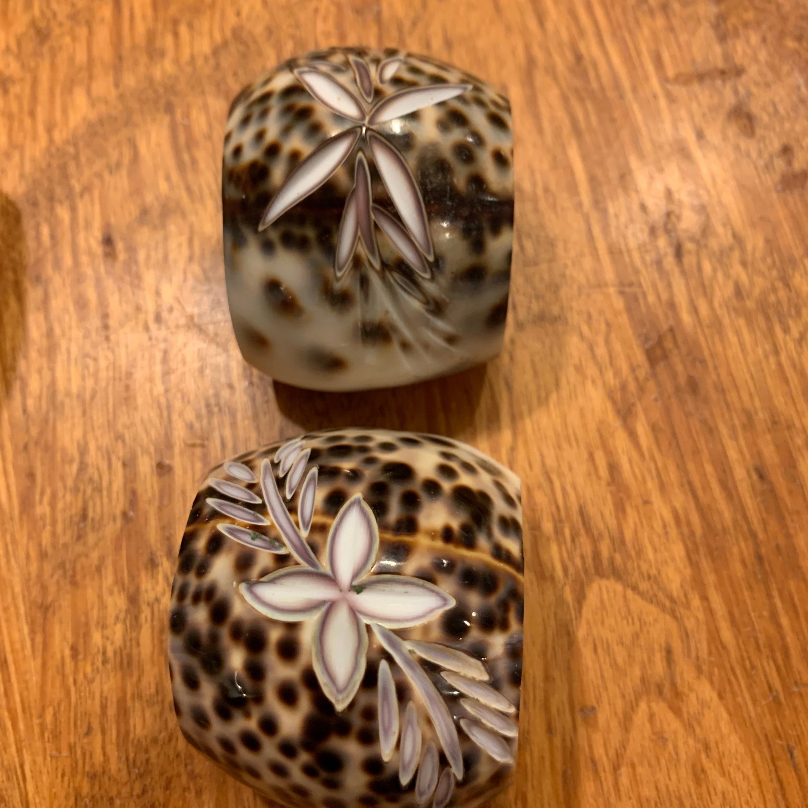 Late 20th Century Shell Napkin Rings Carved Cowrie Shells X 6 - 3