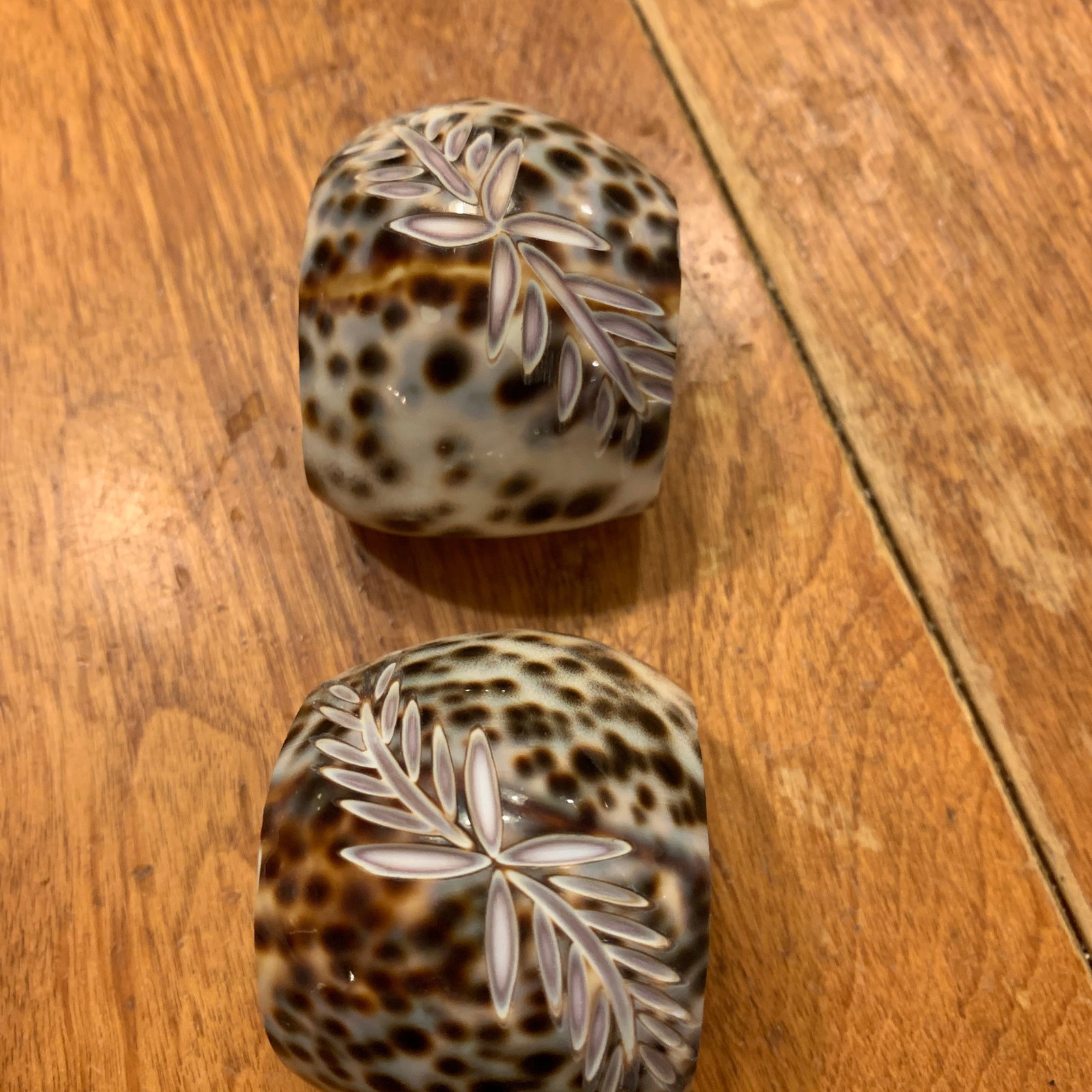 Late 20th Century Shell Napkin Rings Carved Cowrie Shells X 6 - 4