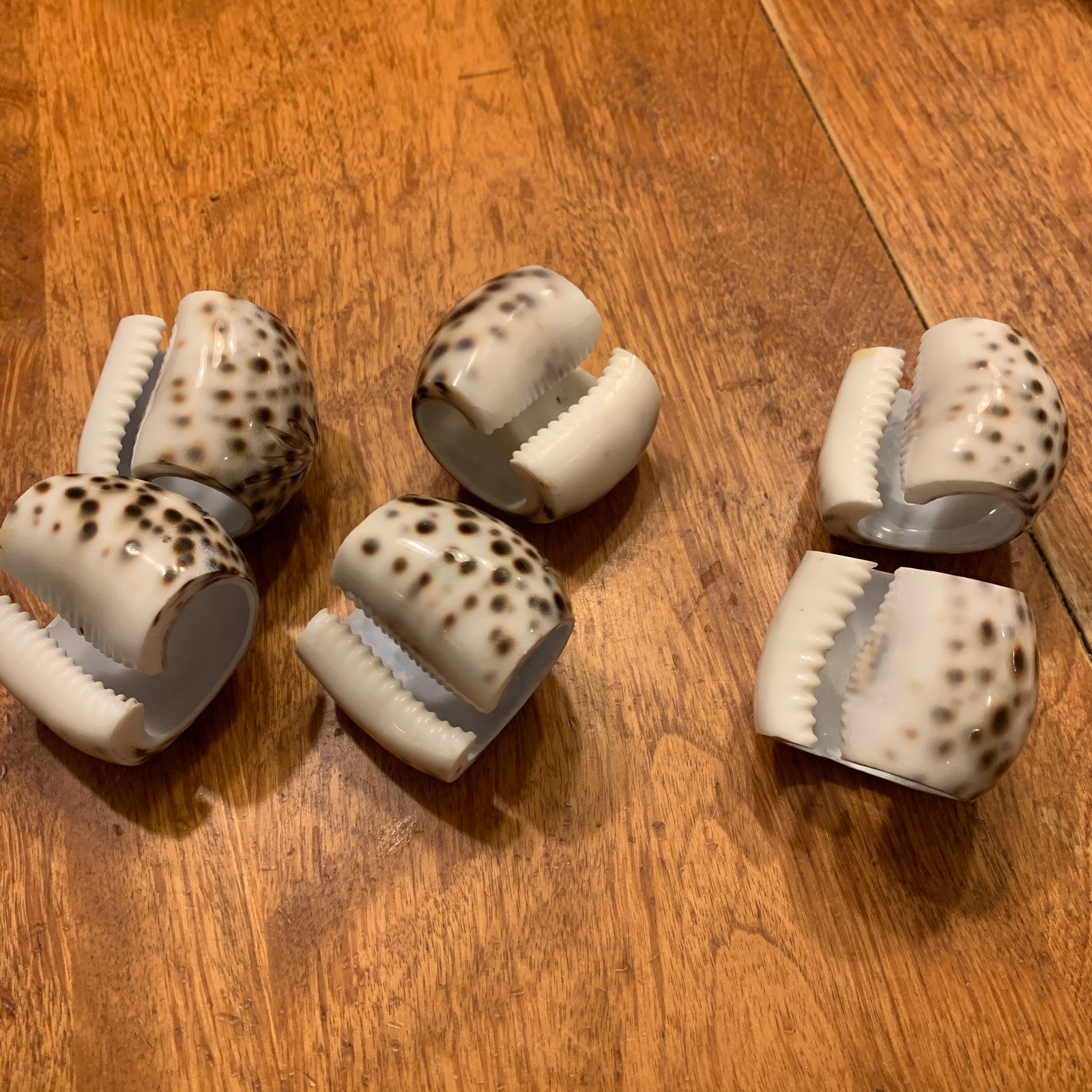 Late 20th Century Shell Napkin Rings Carved Cowrie Shells X 6 - 5