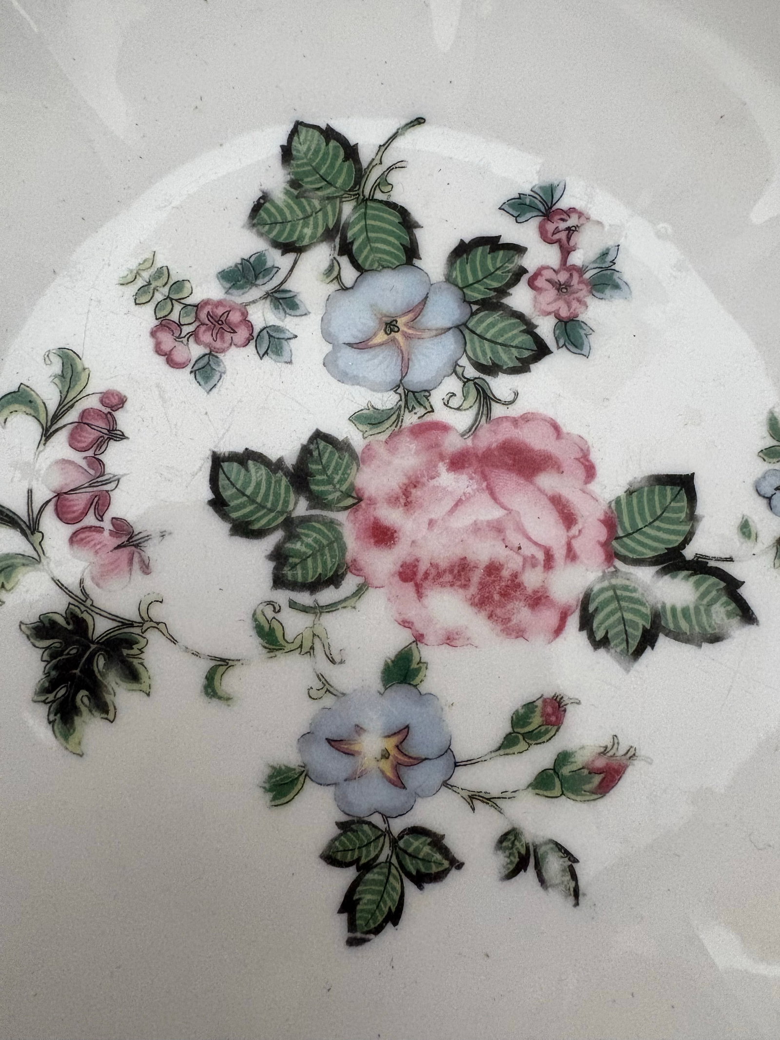 Antique Schwarzenhammer Bavaria European Traditional Floral Porcelain Bowl With Gilt Scalloped Rim - 5