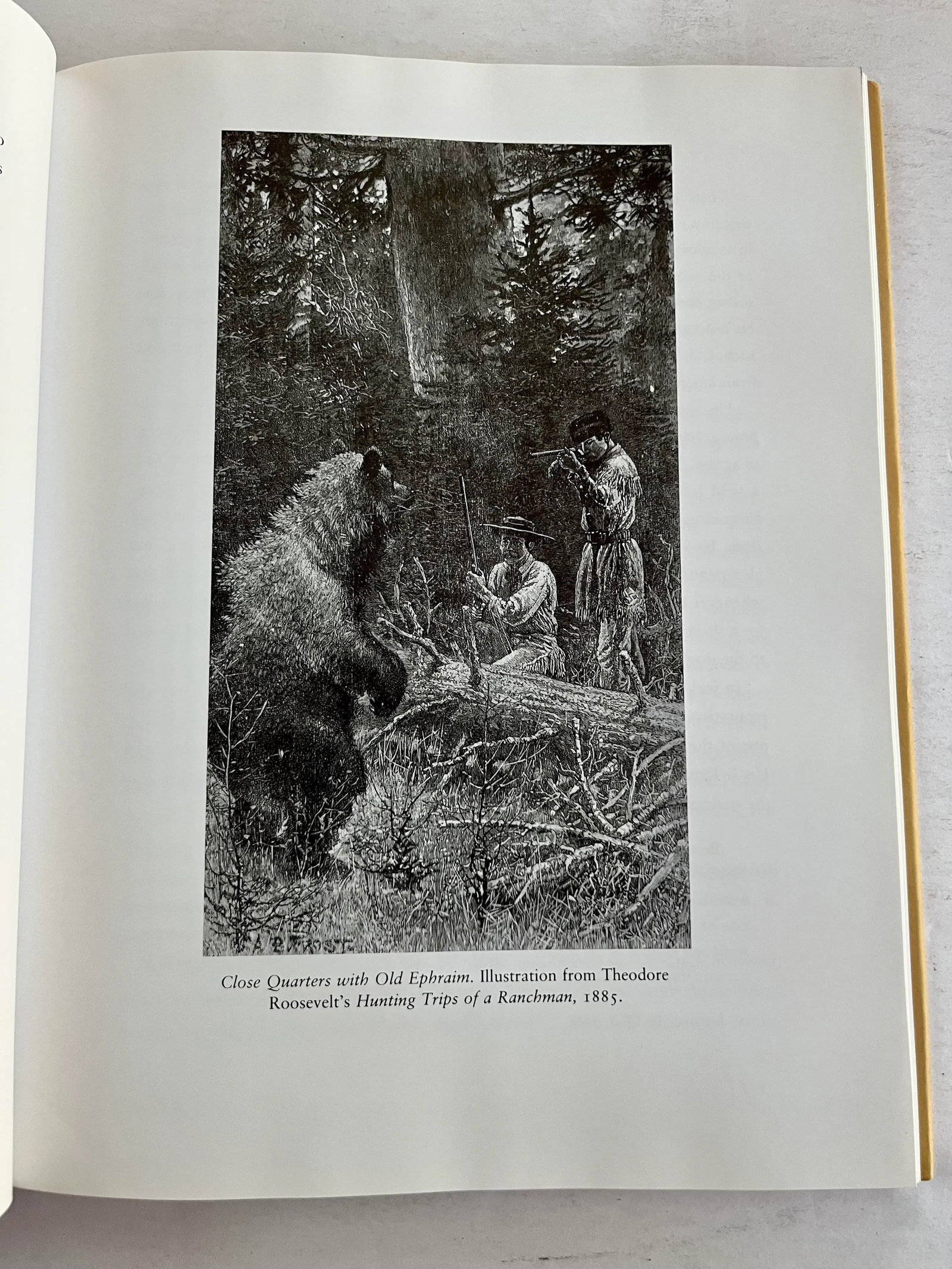 The A. B. Frost Book by Henry M Reed, Wyrick & Co., 1993 - 4