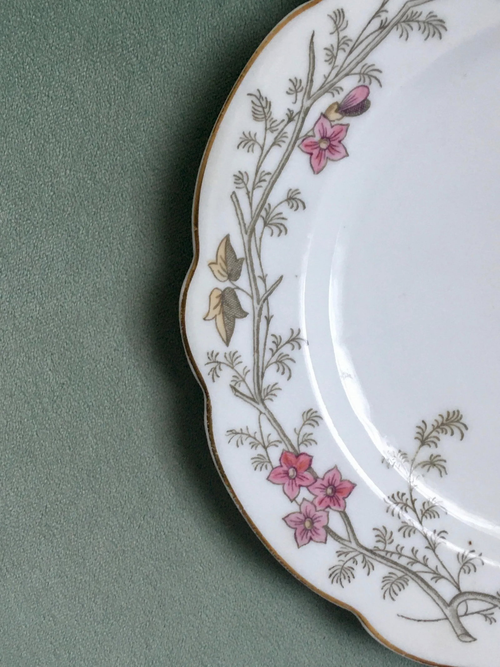 Antique Hand-Painted Floral Pattern Dinner Plates- a Pair - 10