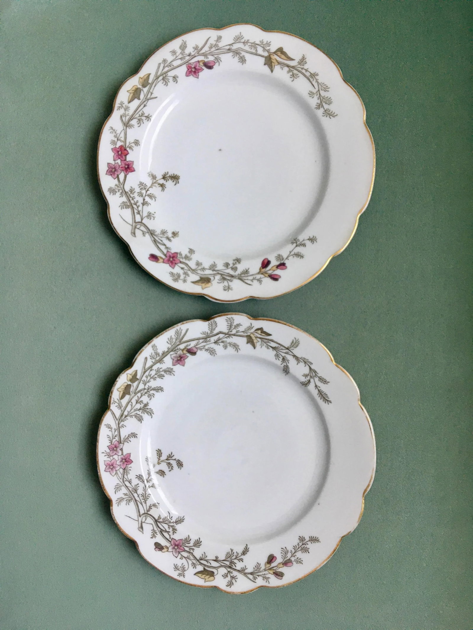 Antique Hand-Painted Floral Pattern Dinner Plates- a Pair - 11
