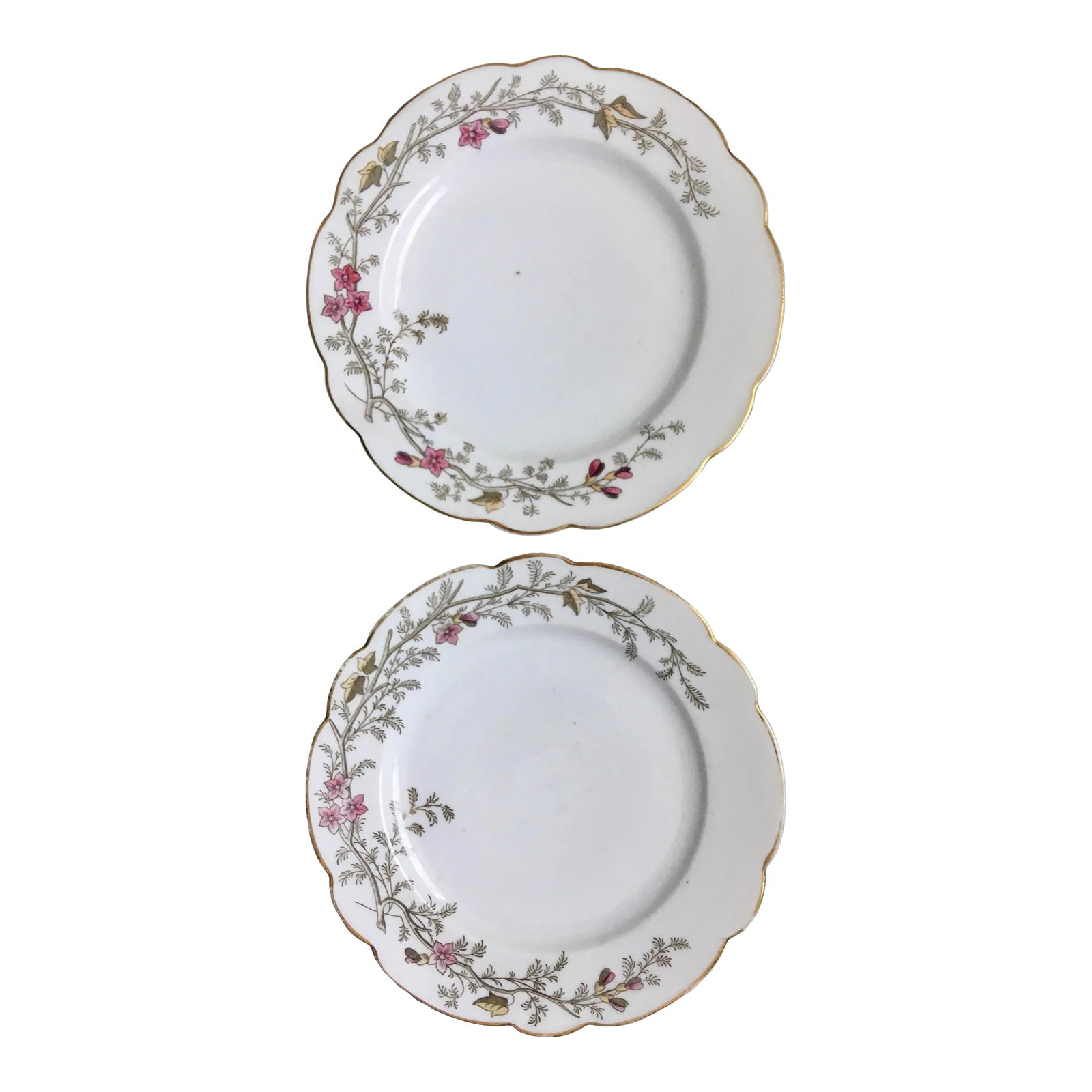 Antique Hand-Painted Floral Pattern Dinner Plates- a Pair: A pair of hand-painted floral dinner plates made by the Becher Stark Merklin China Company in Germany in the 1890's Ships within 1-2 days using USPS. All items packed with care. Please contact us with