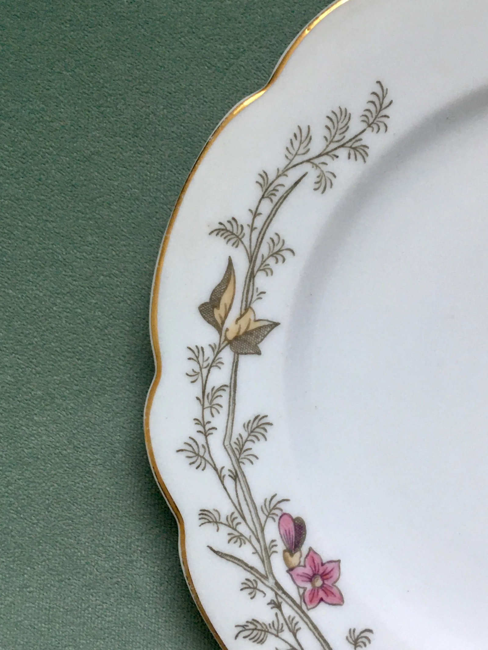 Antique Hand-Painted Floral Pattern Dinner Plates- a Pair - 3