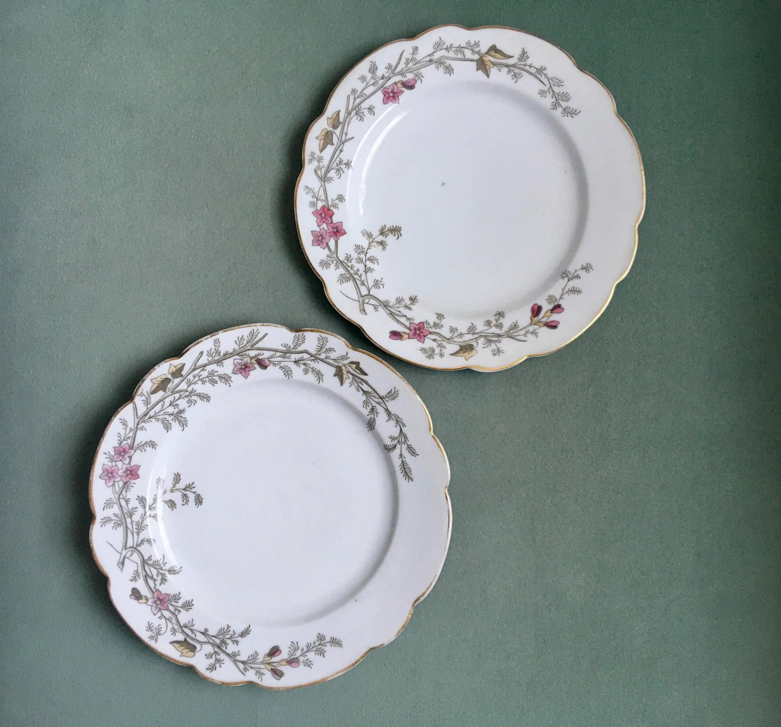 Antique Hand-Painted Floral Pattern Dinner Plates- a Pair - 5