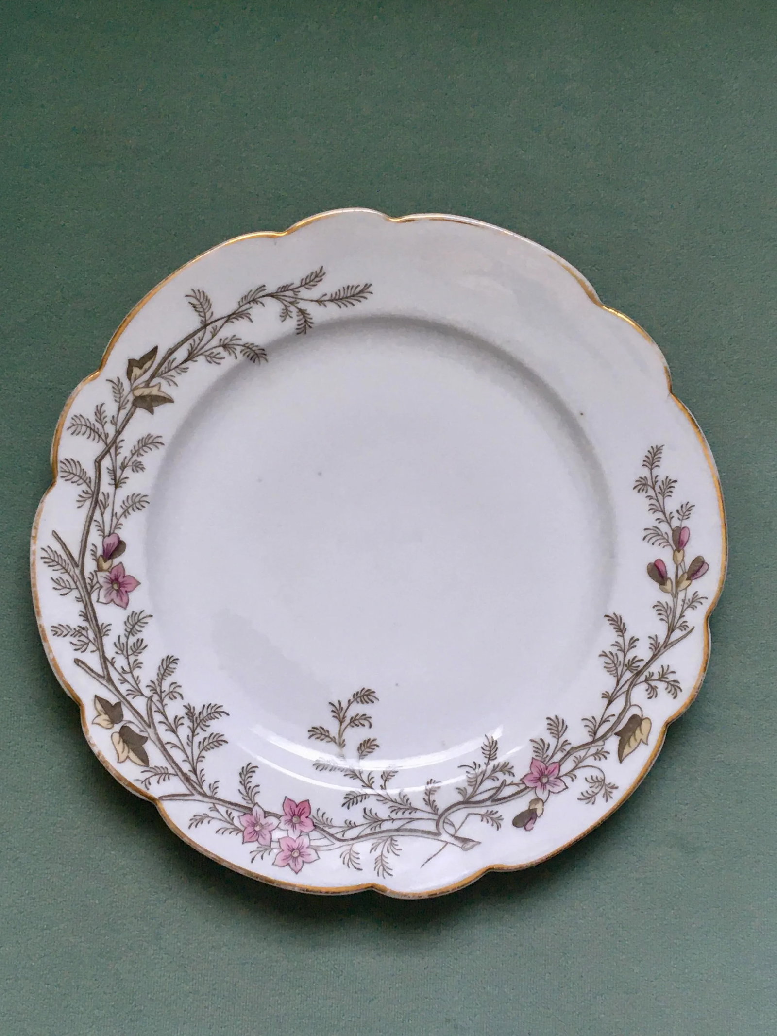 Antique Hand-Painted Floral Pattern Dinner Plates- a Pair - 8