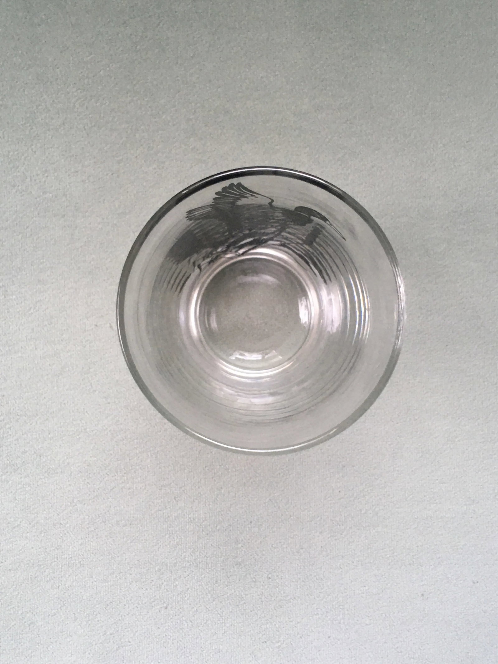 1960's Libbey Black Duck Pressed Glass Tumblers- Set of 5 - 12