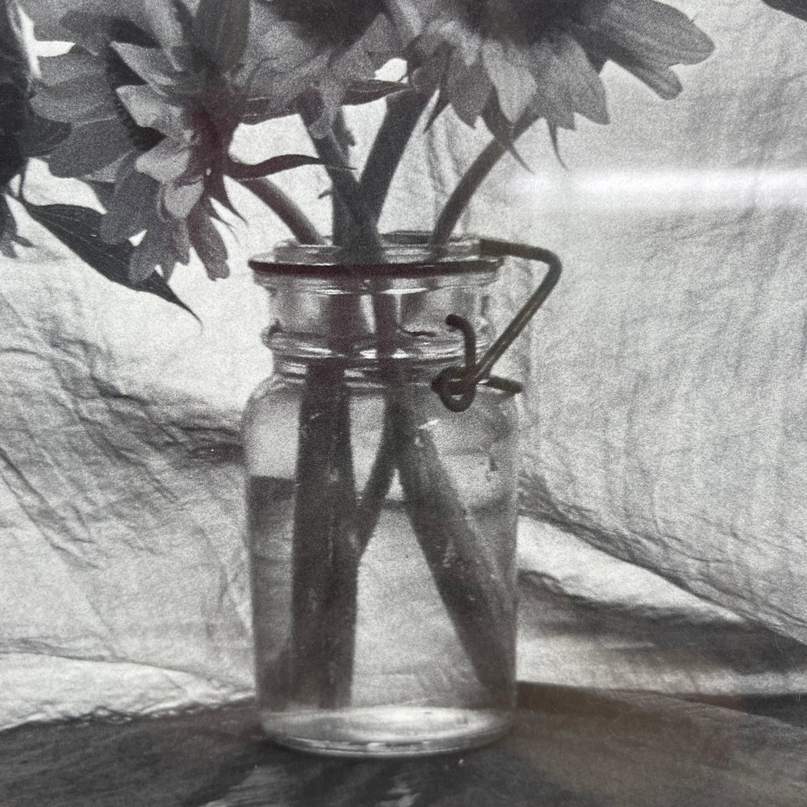 Vintage Set of 3 Framed Monotone Flower Bouquets in Glass Vases - 8