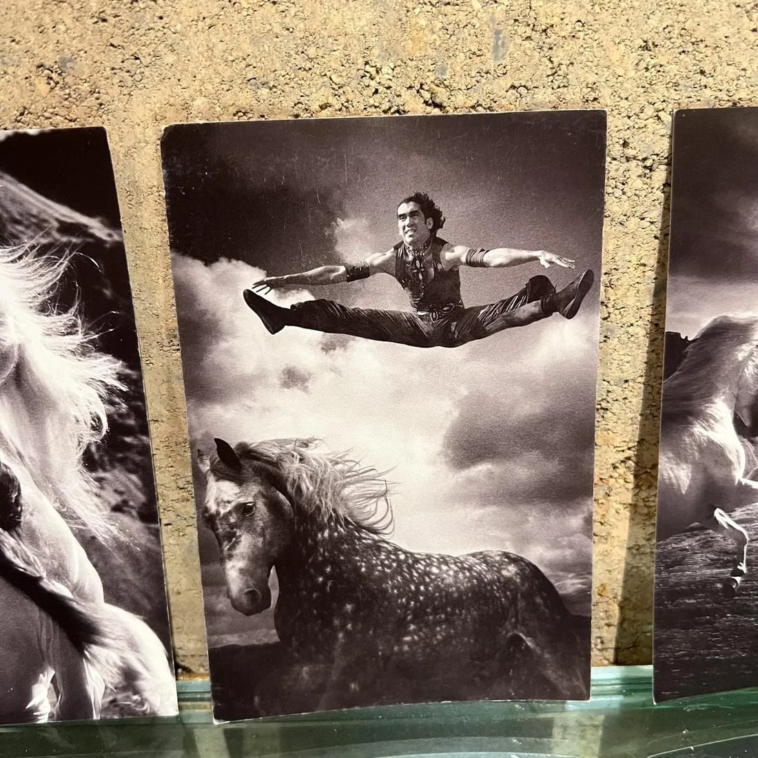 Vintage Cavalia Set of Five Post Card Prints Black and White Canada - 2
