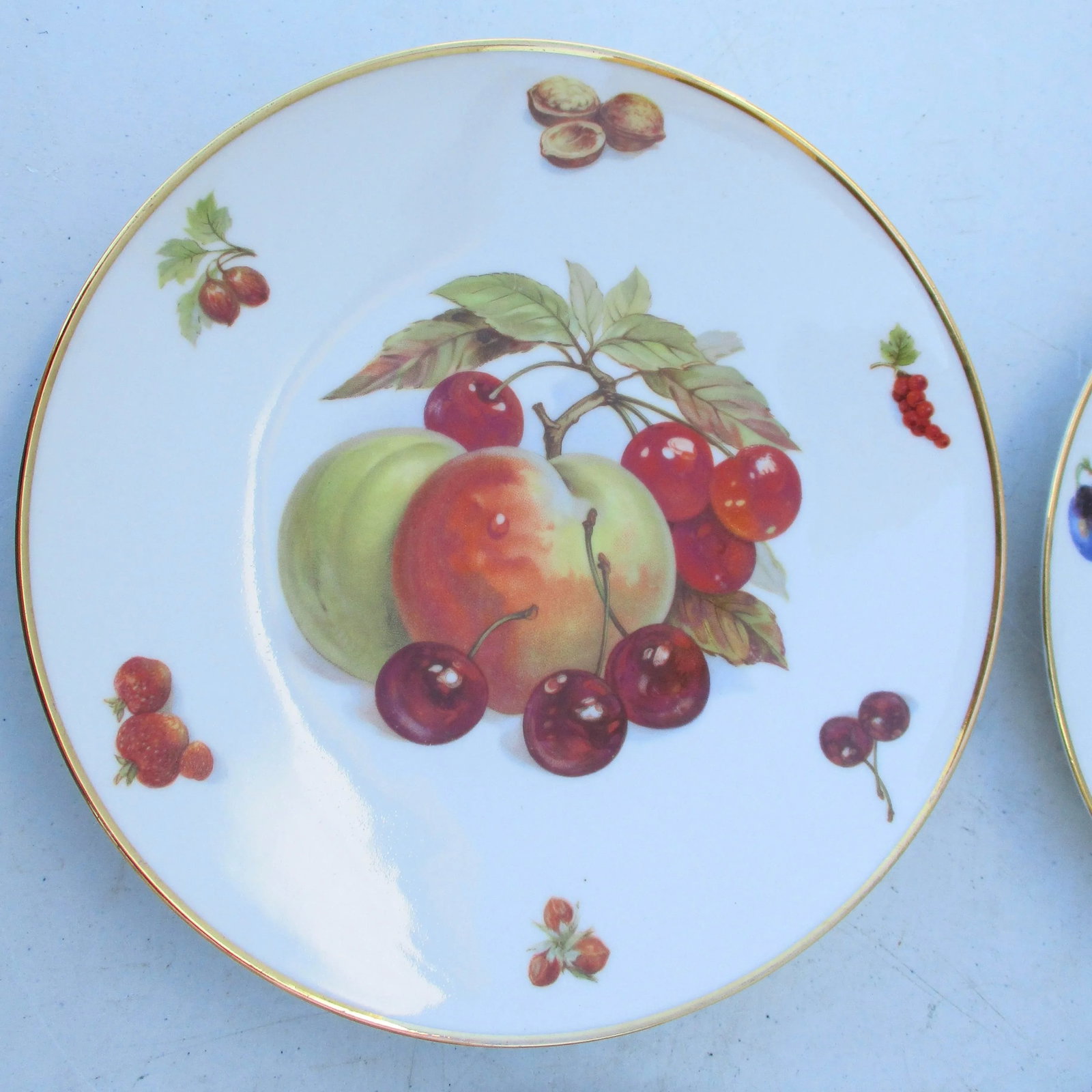 Vintage Bavarian Fruit Plates - Set of 4 - 2
