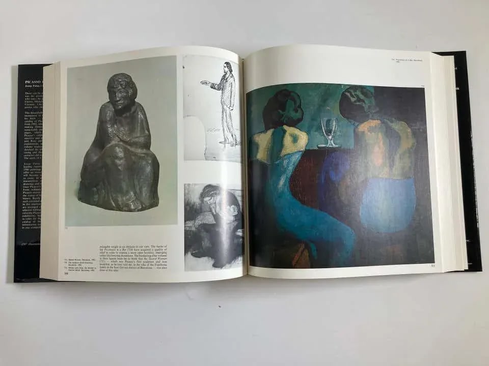 Picasso The Early Years 1881-1907 Art Book by Palau i Fabre - 5