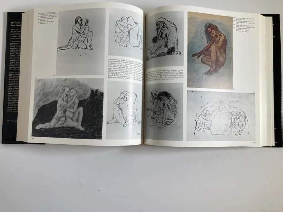 Picasso The Early Years 1881-1907 Art Book by Palau i Fabre - 6