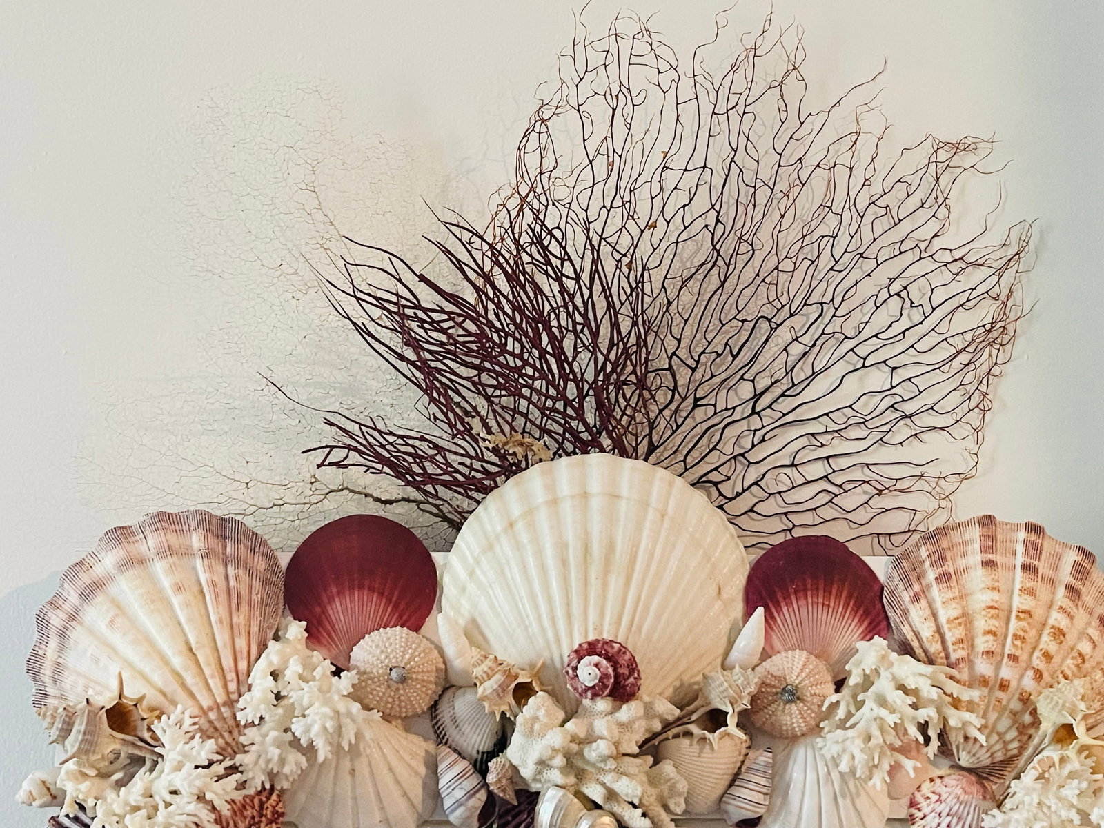 Fabulous Sea Shell Encrusted 4 Ft Wall Mirror - 3